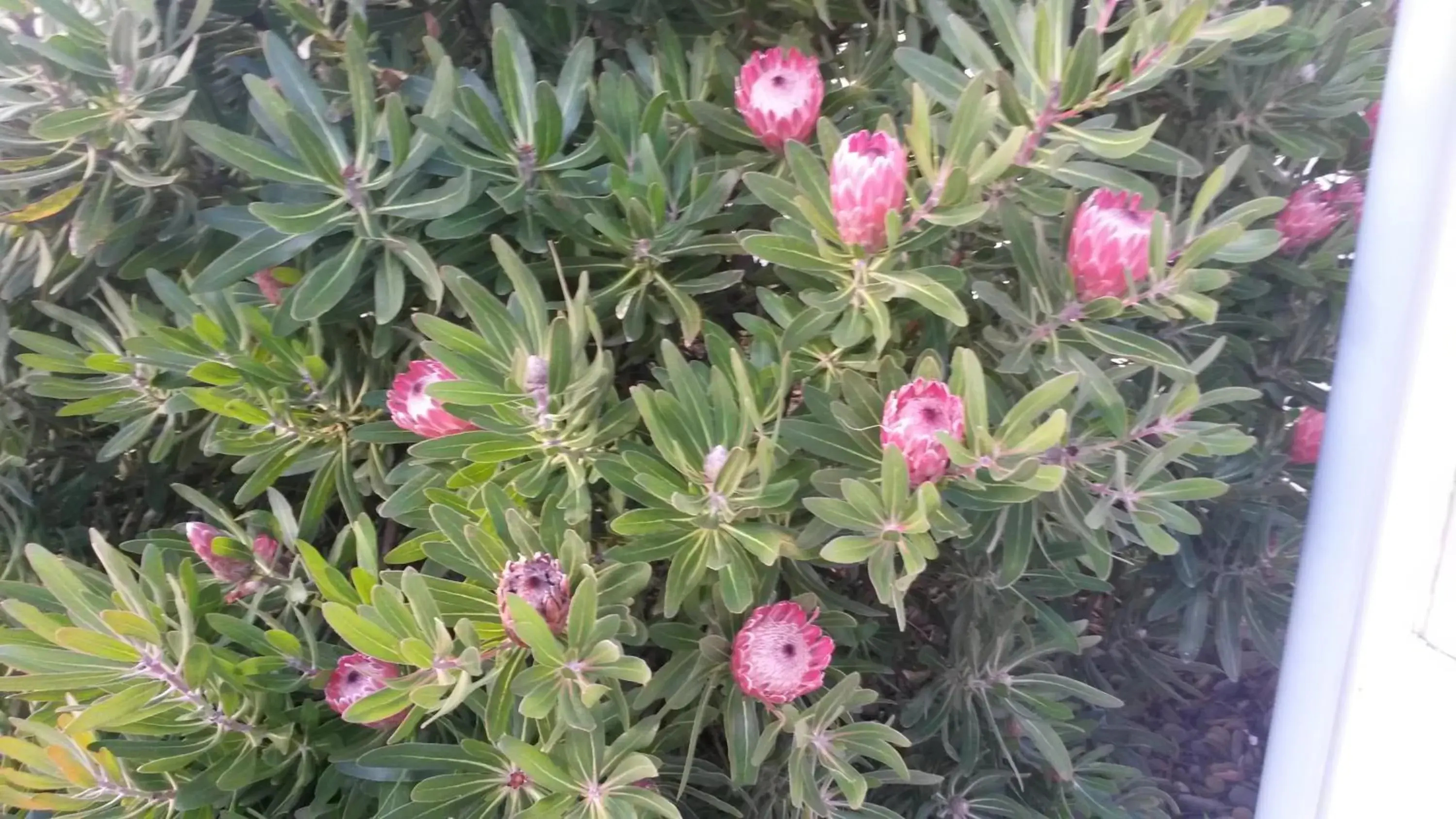 Wellington 747 Motel Wellington 747 Motel