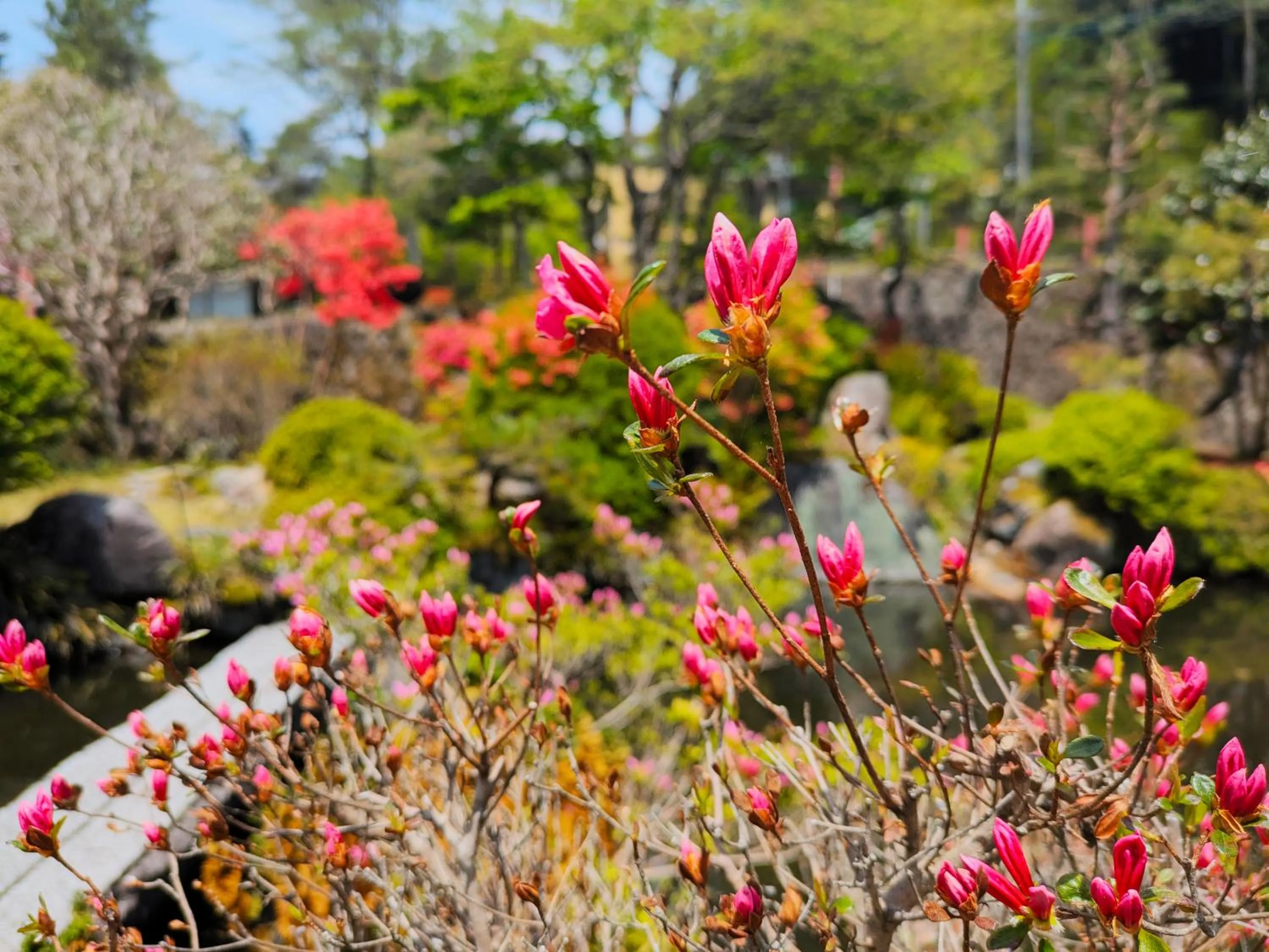 Garden in Itoen Hotel Shima