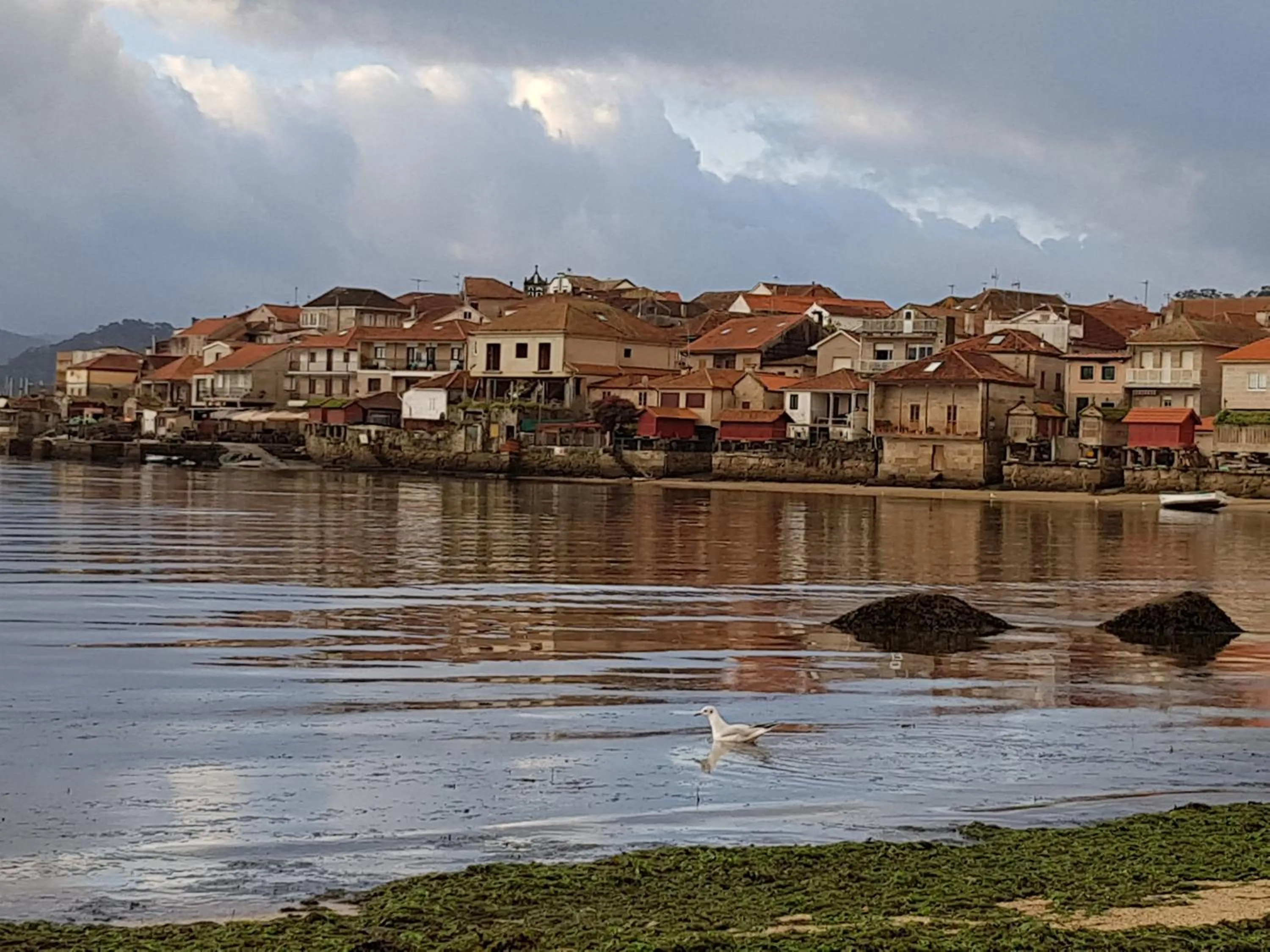 Neighbourhood in Hotel Xeito