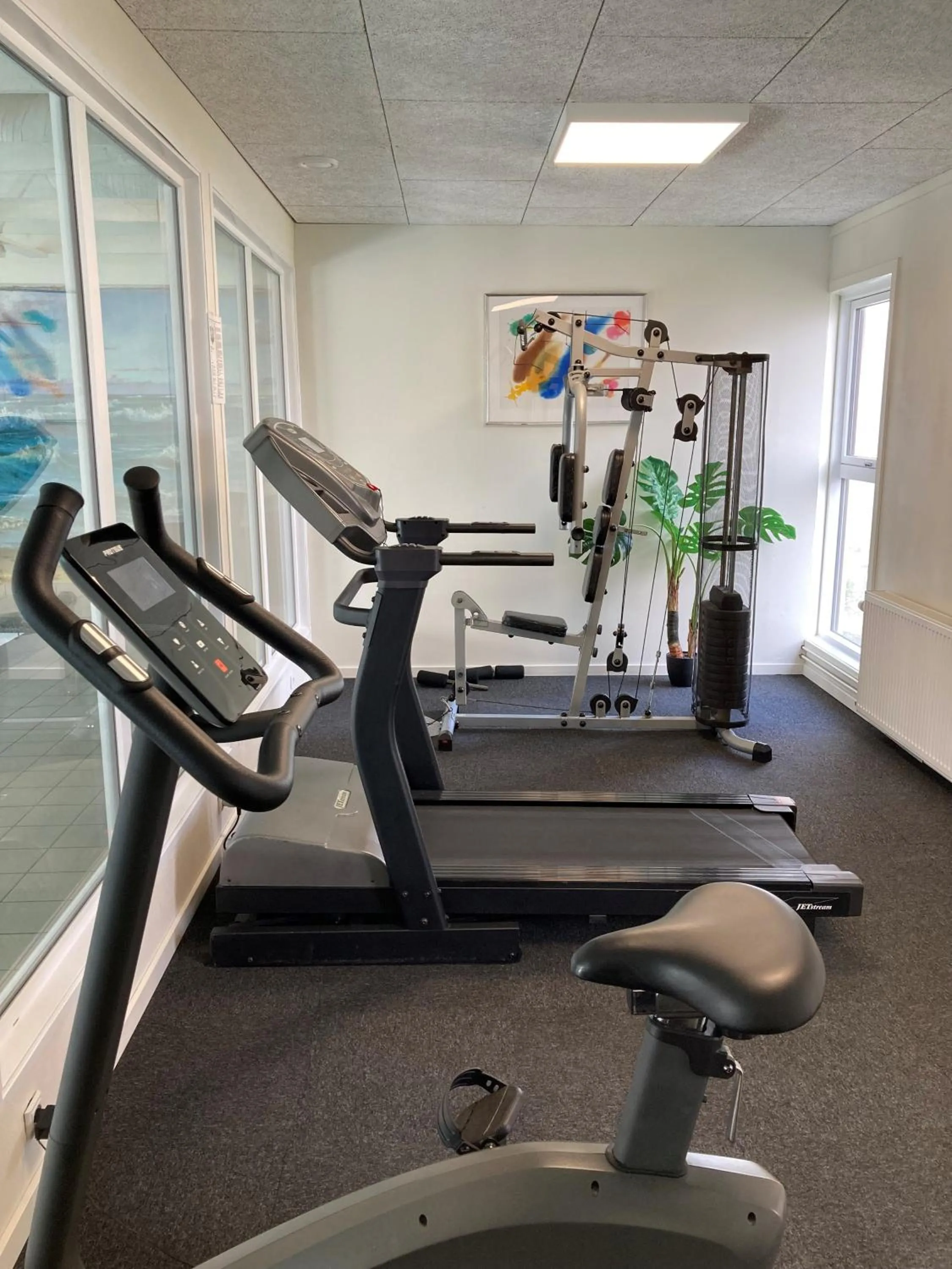 Fitness centre/facilities in Hotel Tannishus