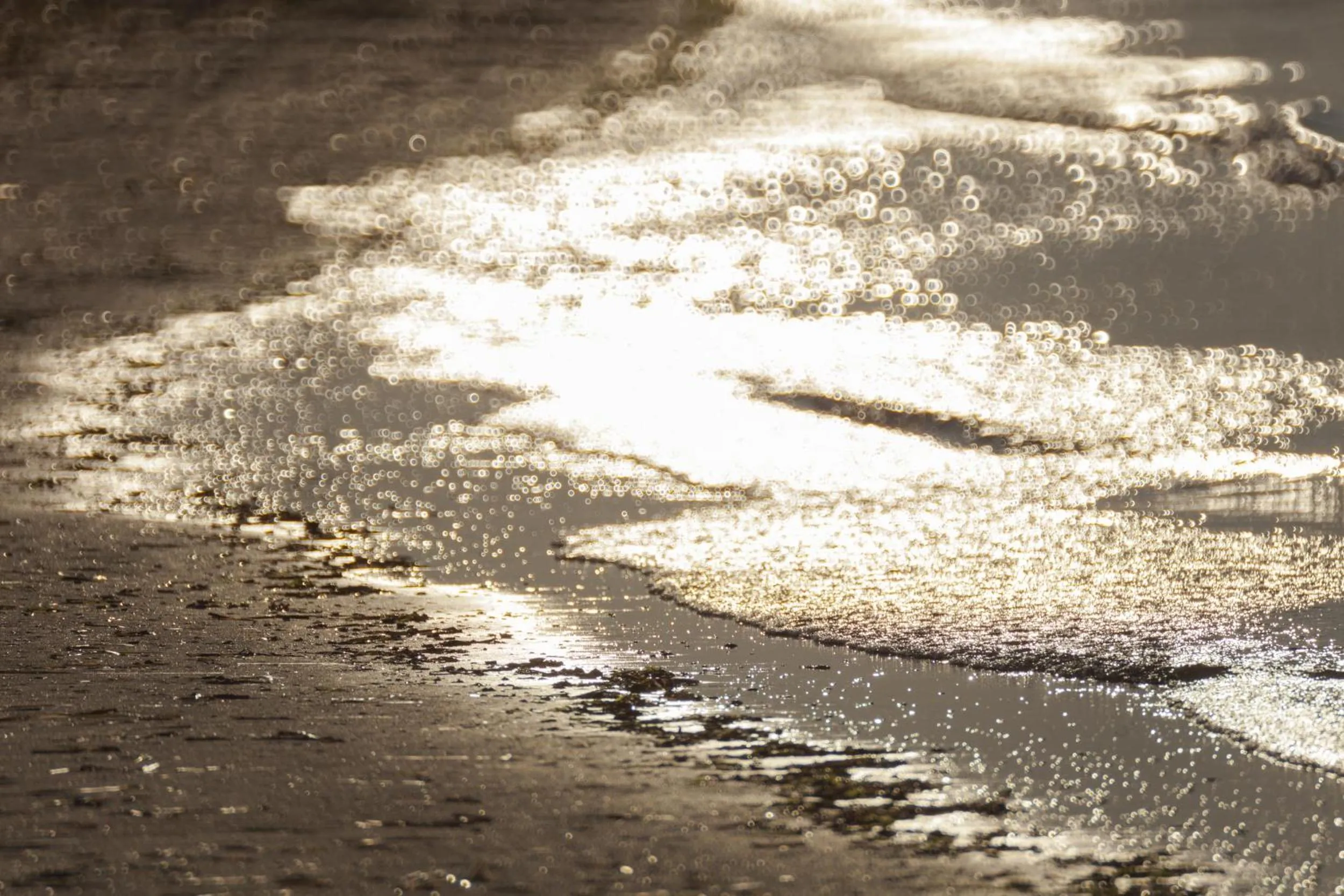 Beach in Camping Village Cavallino