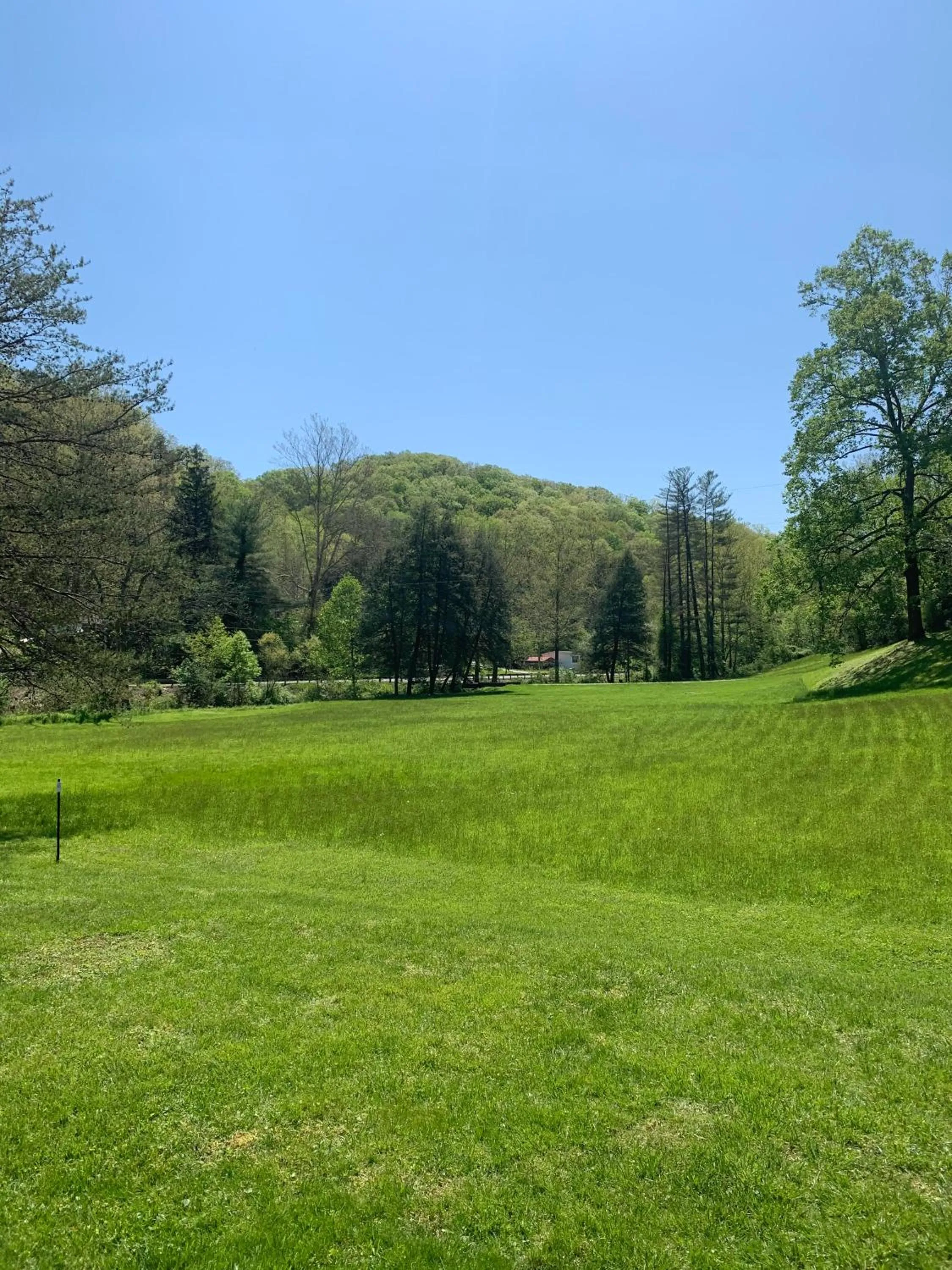 Day in Log Cabin in the Field