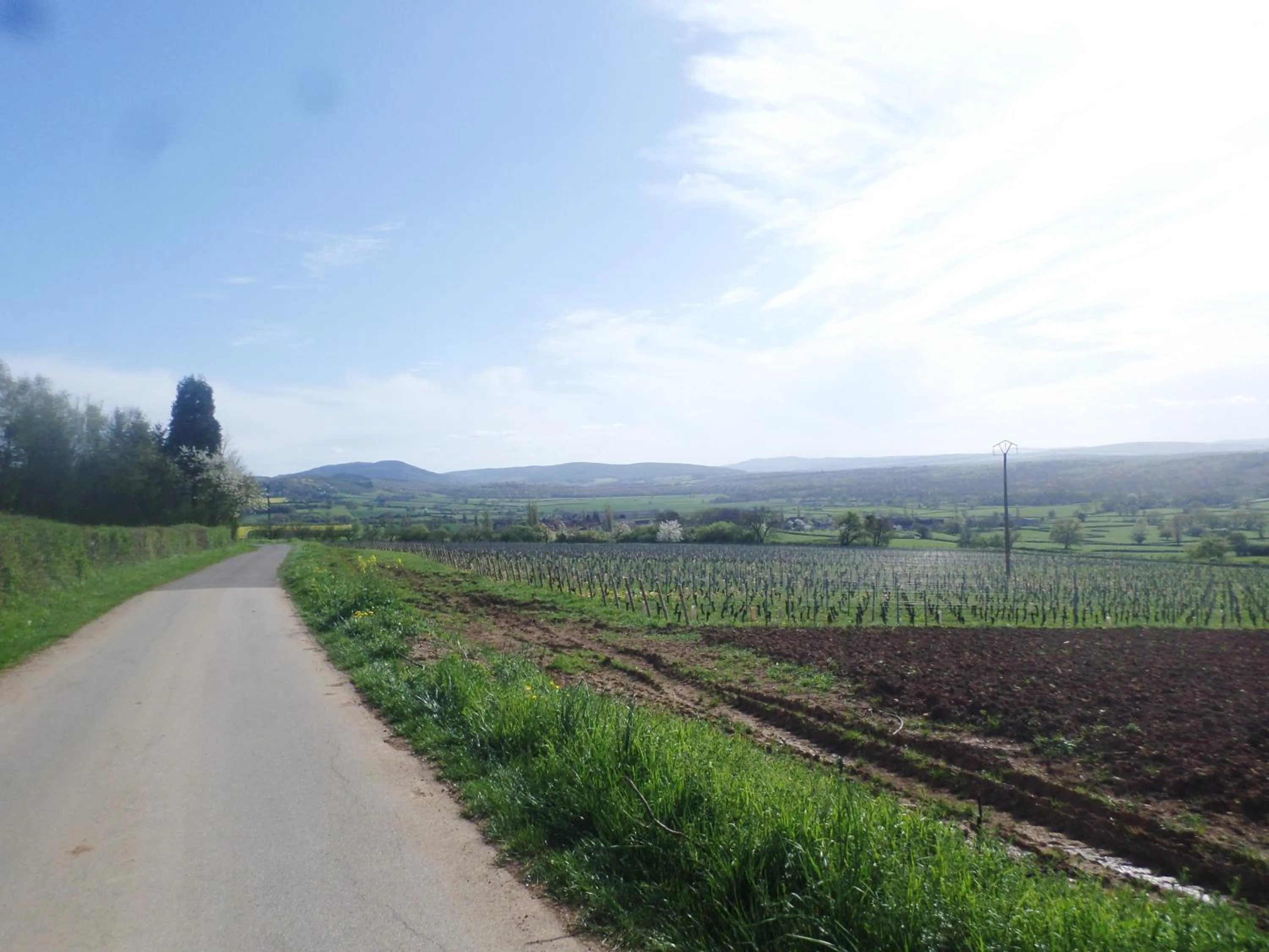 Natural landscape in Les Marronniers