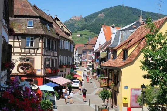 Activities in Hôtel du Haut Koenigsbourg- entre vignes et château