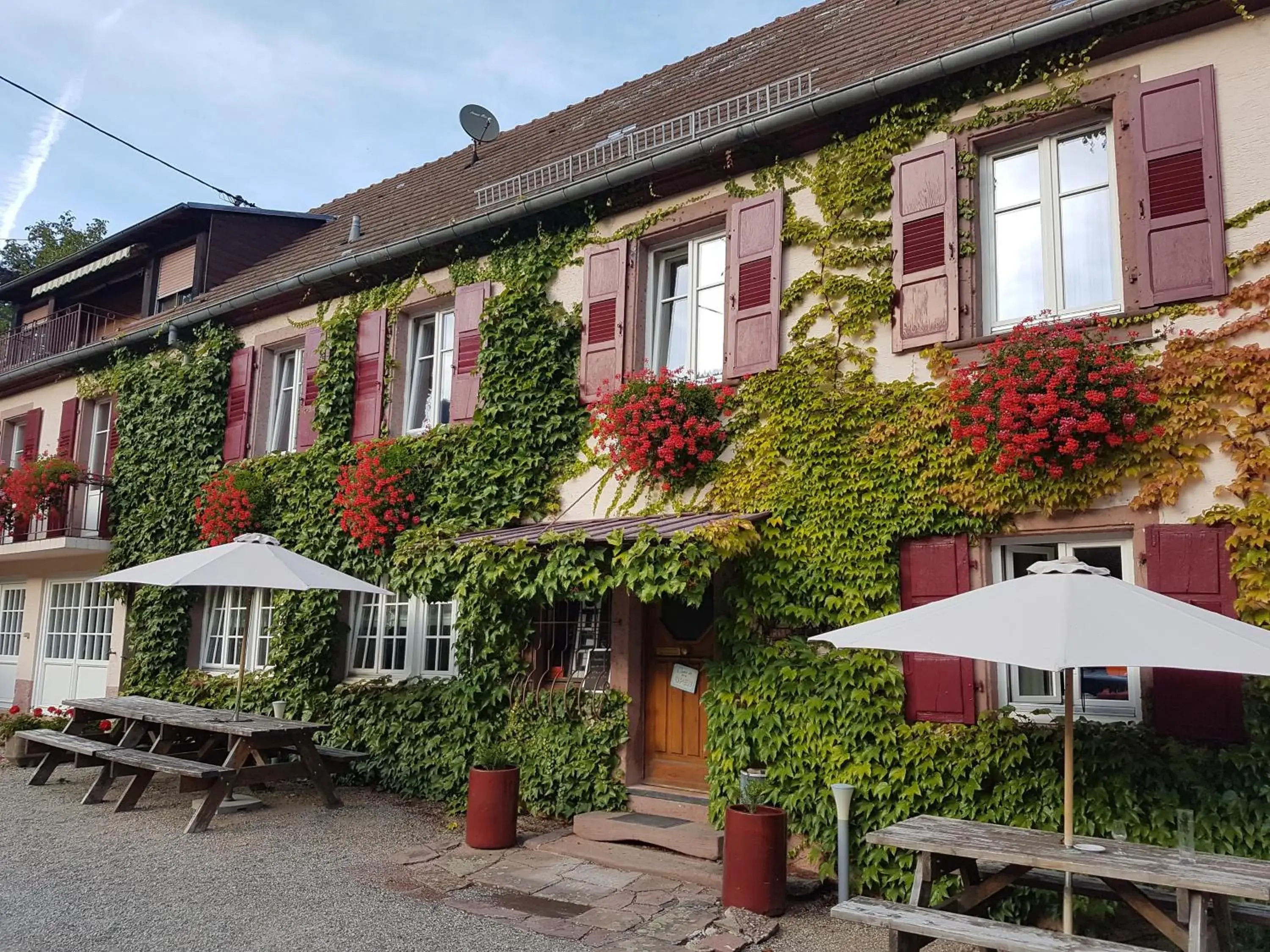 Hôtel du Haut Koenigsbourg- entre vignes et château Hôtel du Haut Koenigsbourg- entre vignes et château