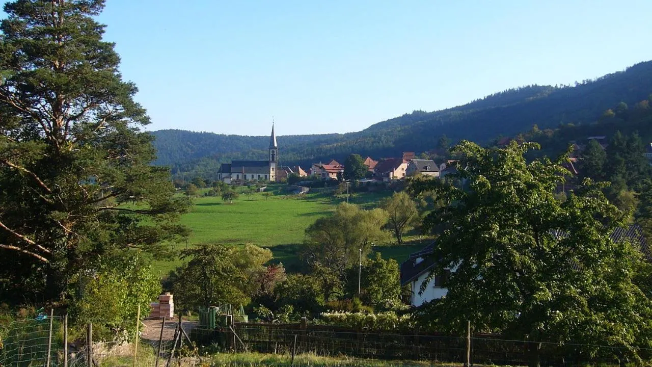 Natural landscape in Hôtel du Haut Koenigsbourg- entre vignes et château