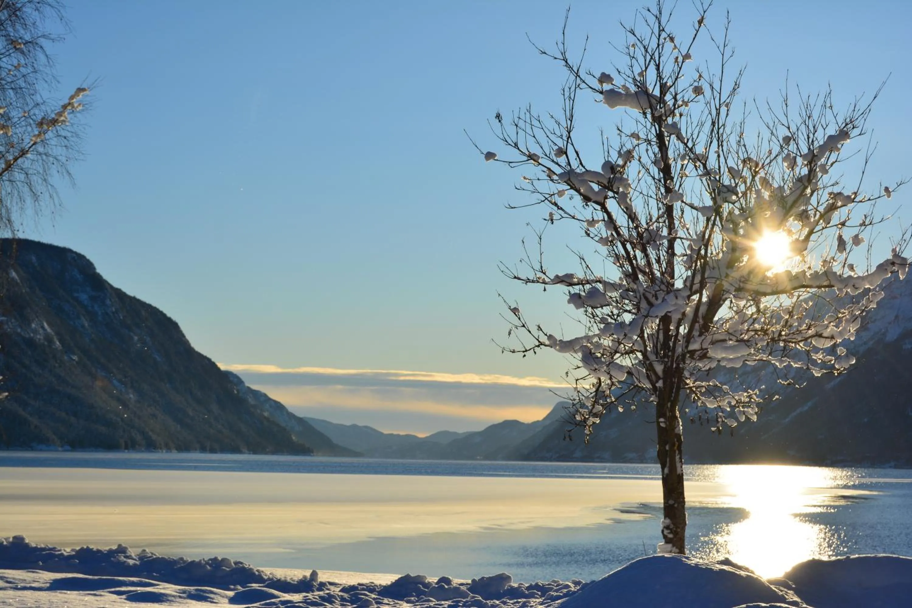 Day in Sandviken Camping