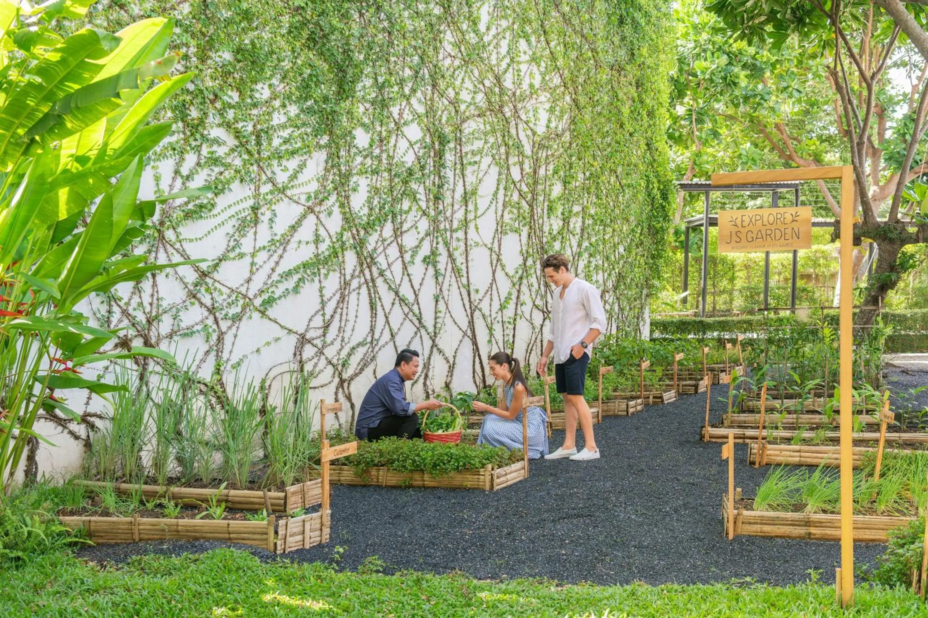 Other in Le Meridien Phuket Mai Khao Beach Resort