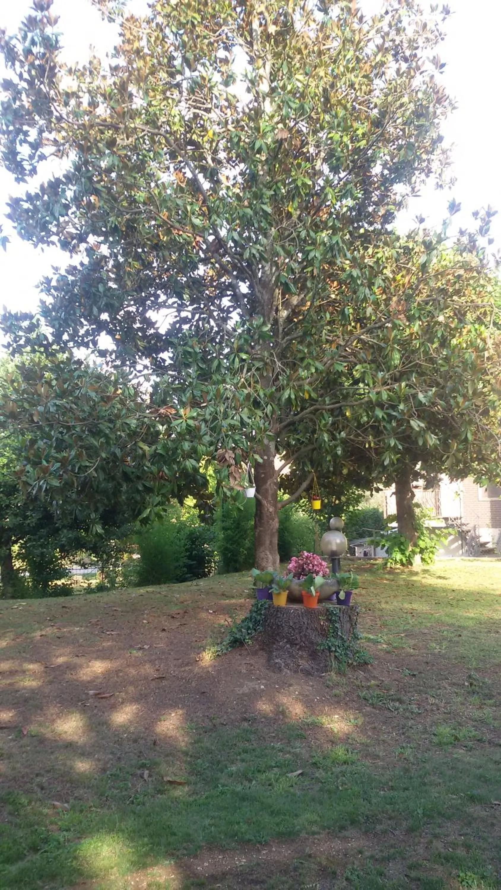 Property building in Hotel Le Vigne