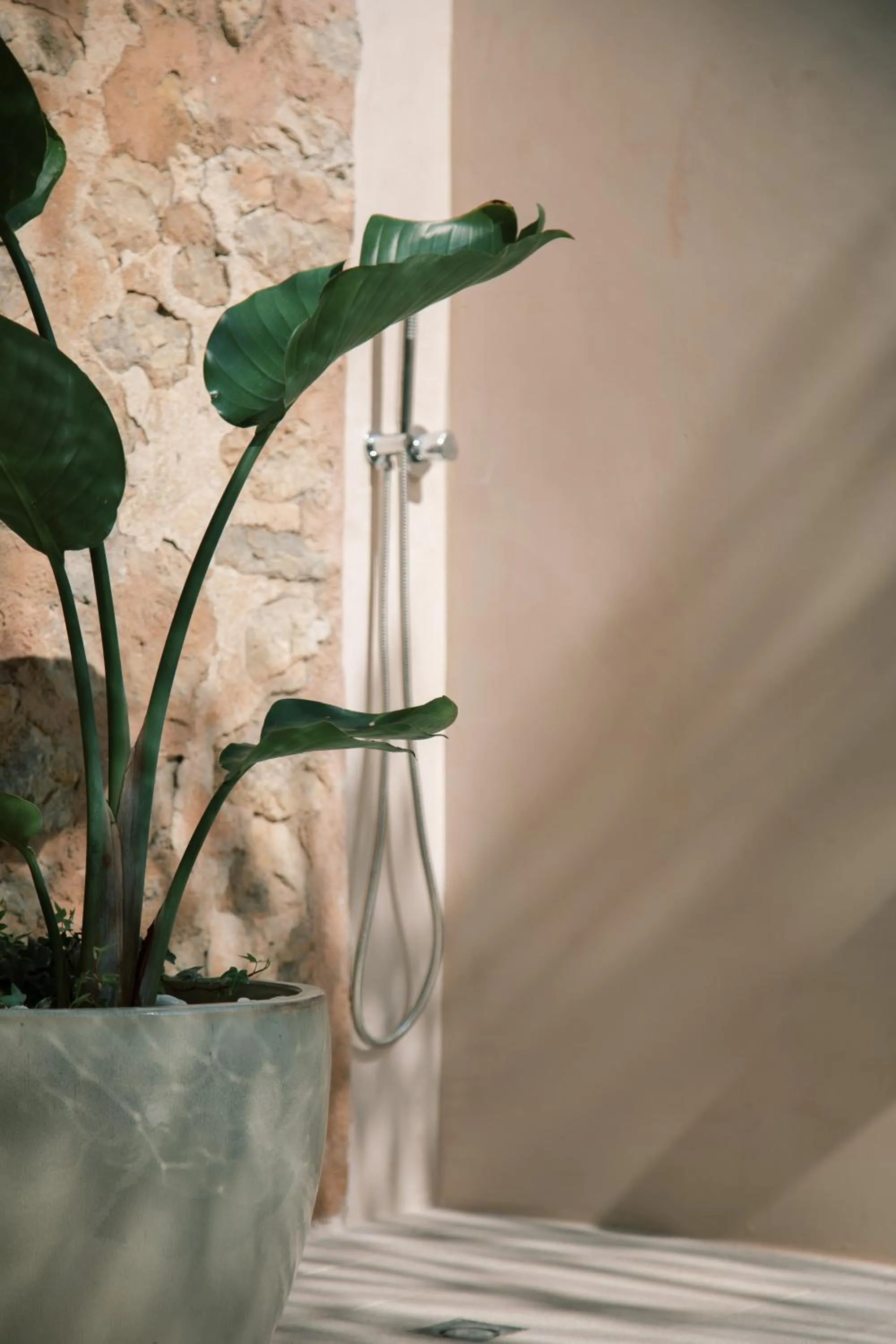 Swimming pool in Ecocirer Healthy Stay