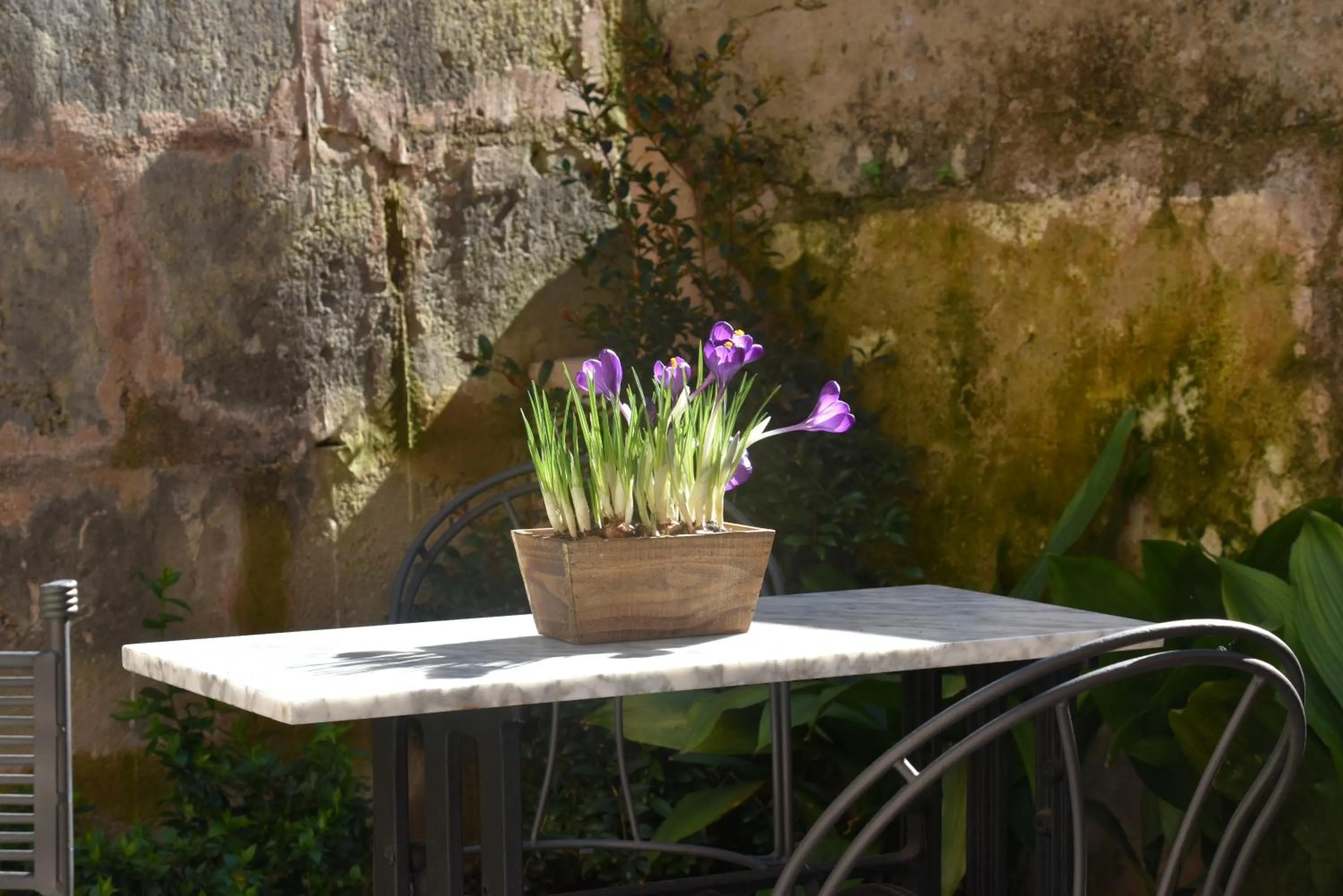 Garden in Ecocirer Healthy Stay