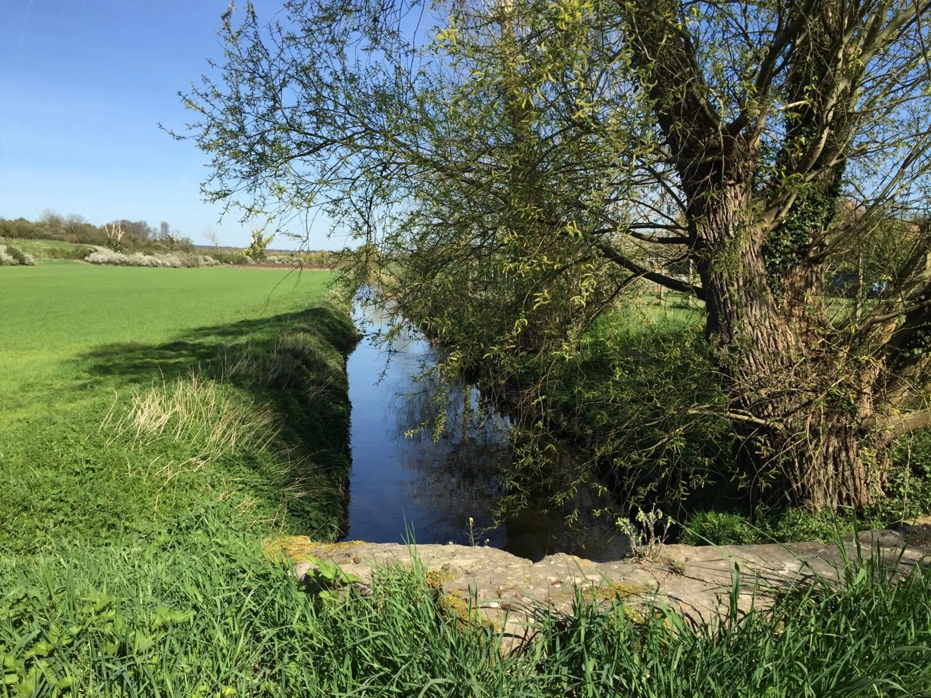 Nearby landmark in Domaine de la Villa du Moulin de Champie - Plaine de Versailles