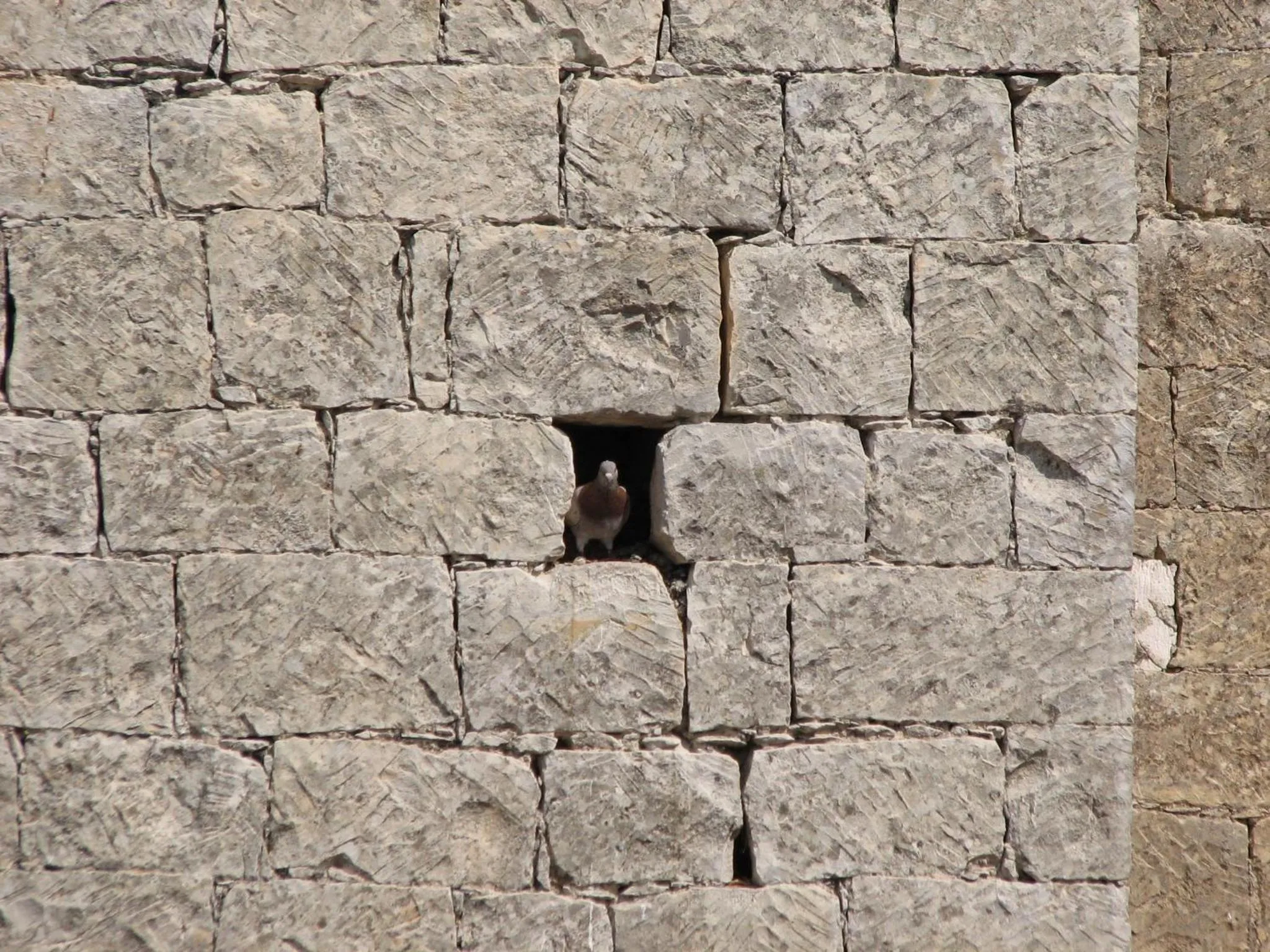 Nearby landmark in Lasa Heights Hotel