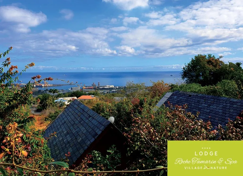 View (from property/room) in Lodge Roche Tamarin