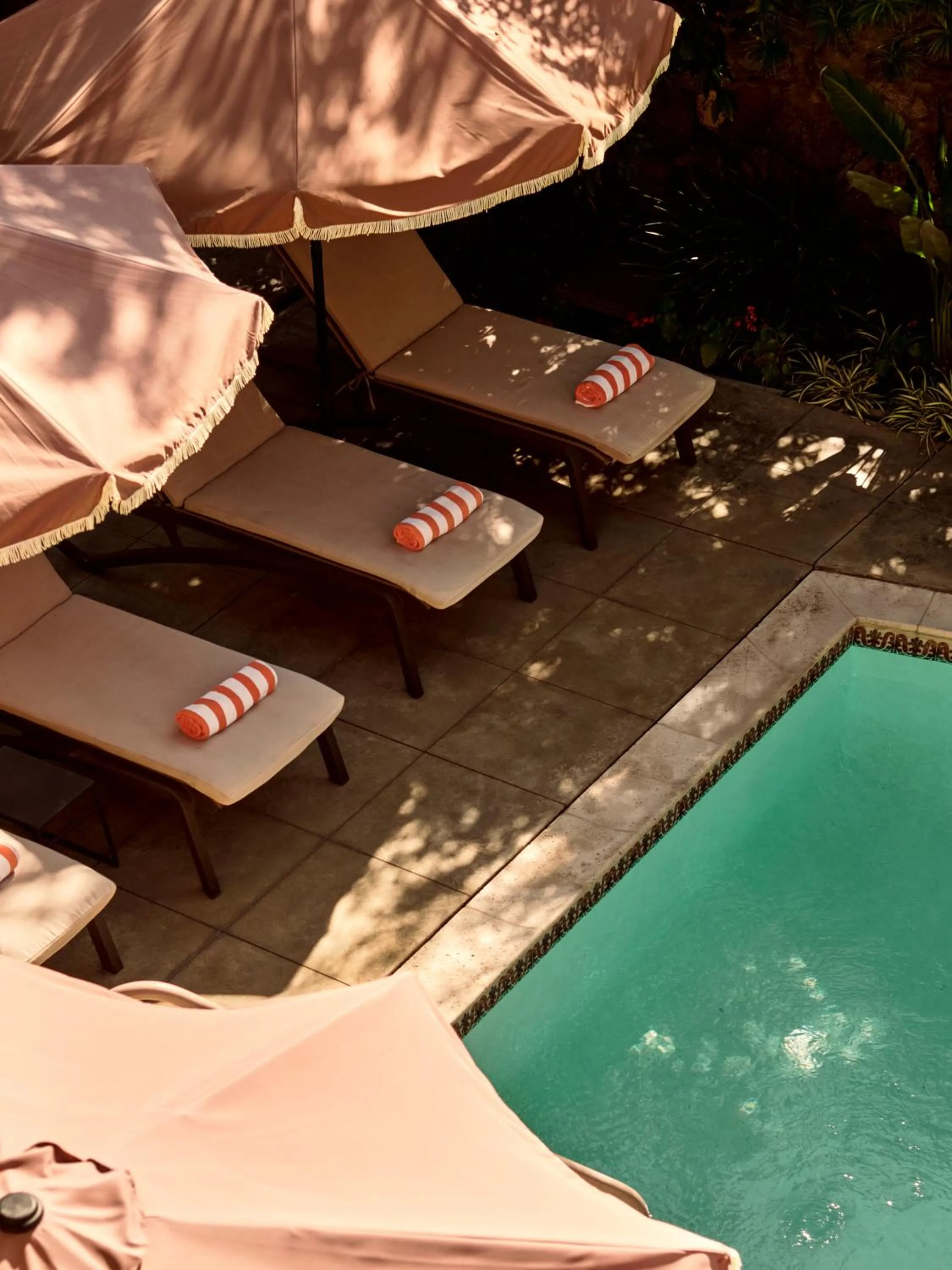 Swimming pool in The Willows Palm Springs