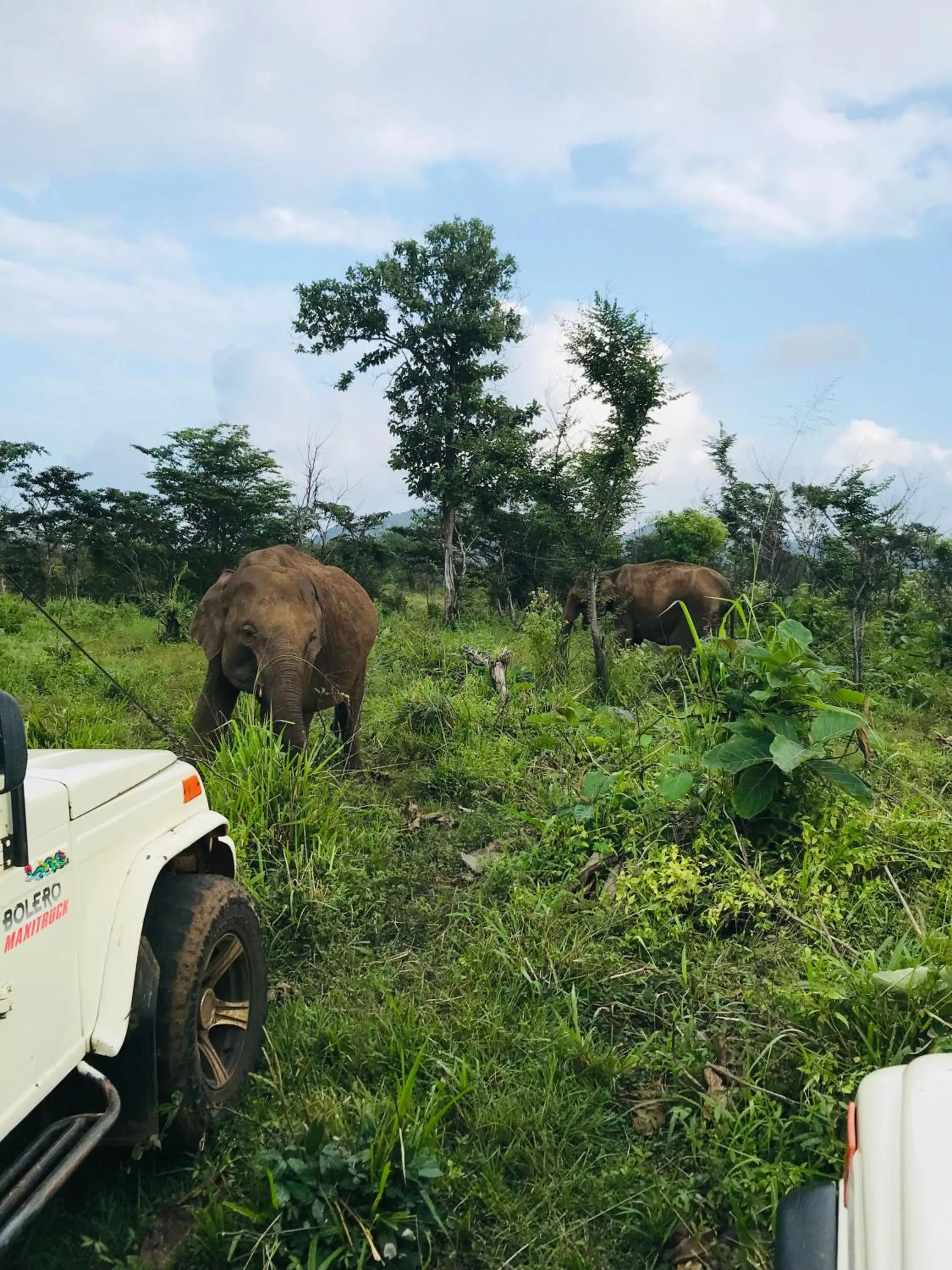 Day in Rivonway Hotel Polonnaruwa