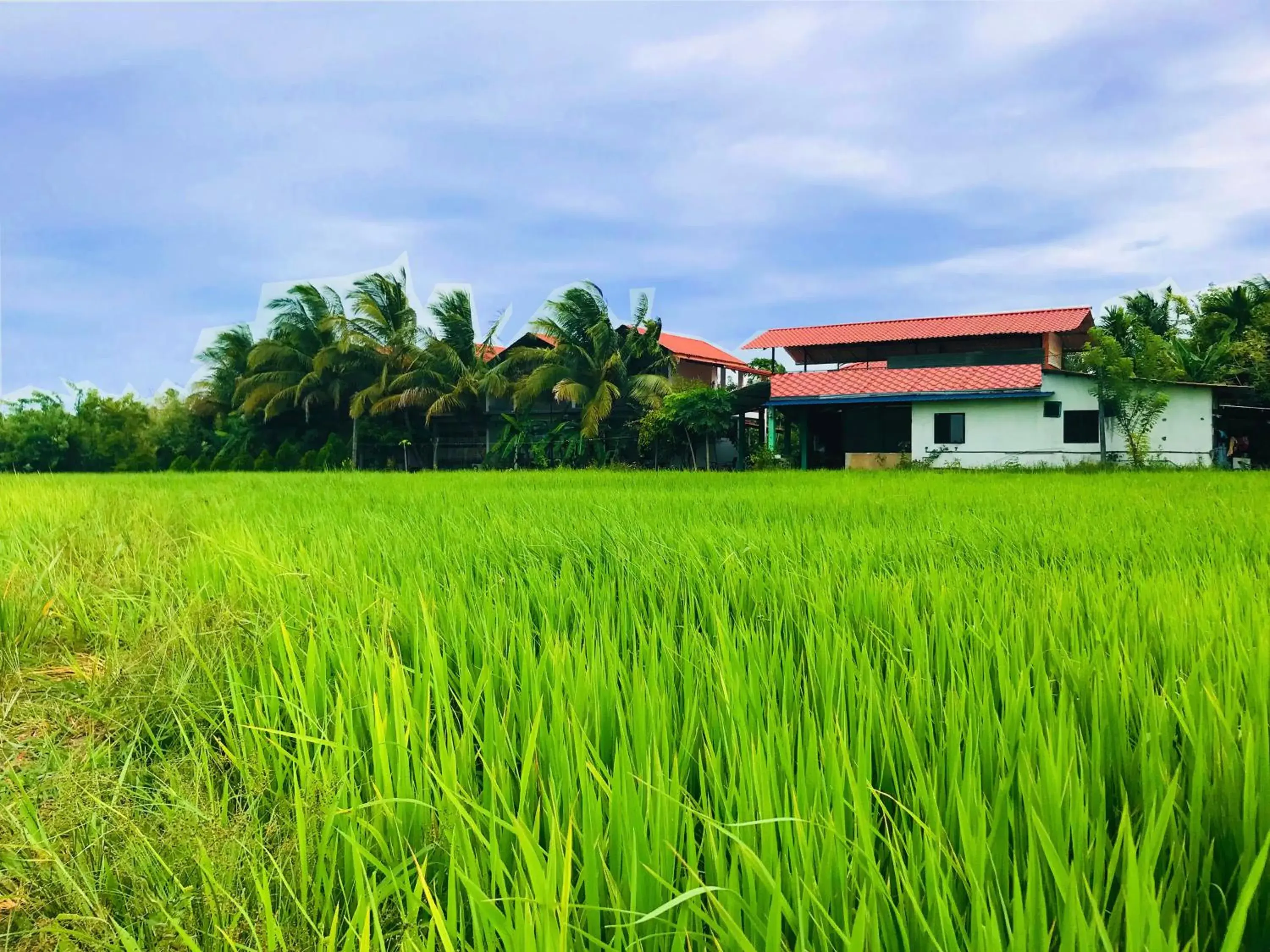 Property building in Rivonway Hotel Polonnaruwa Property building in Rivonway Hotel Polonnaruwa