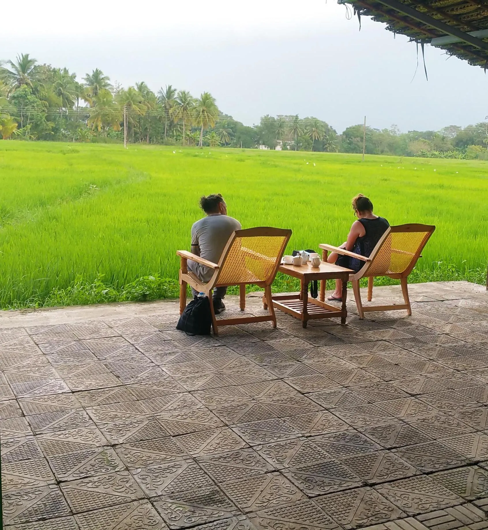 View (from property/room) in Rivonway Hotel Polonnaruwa
