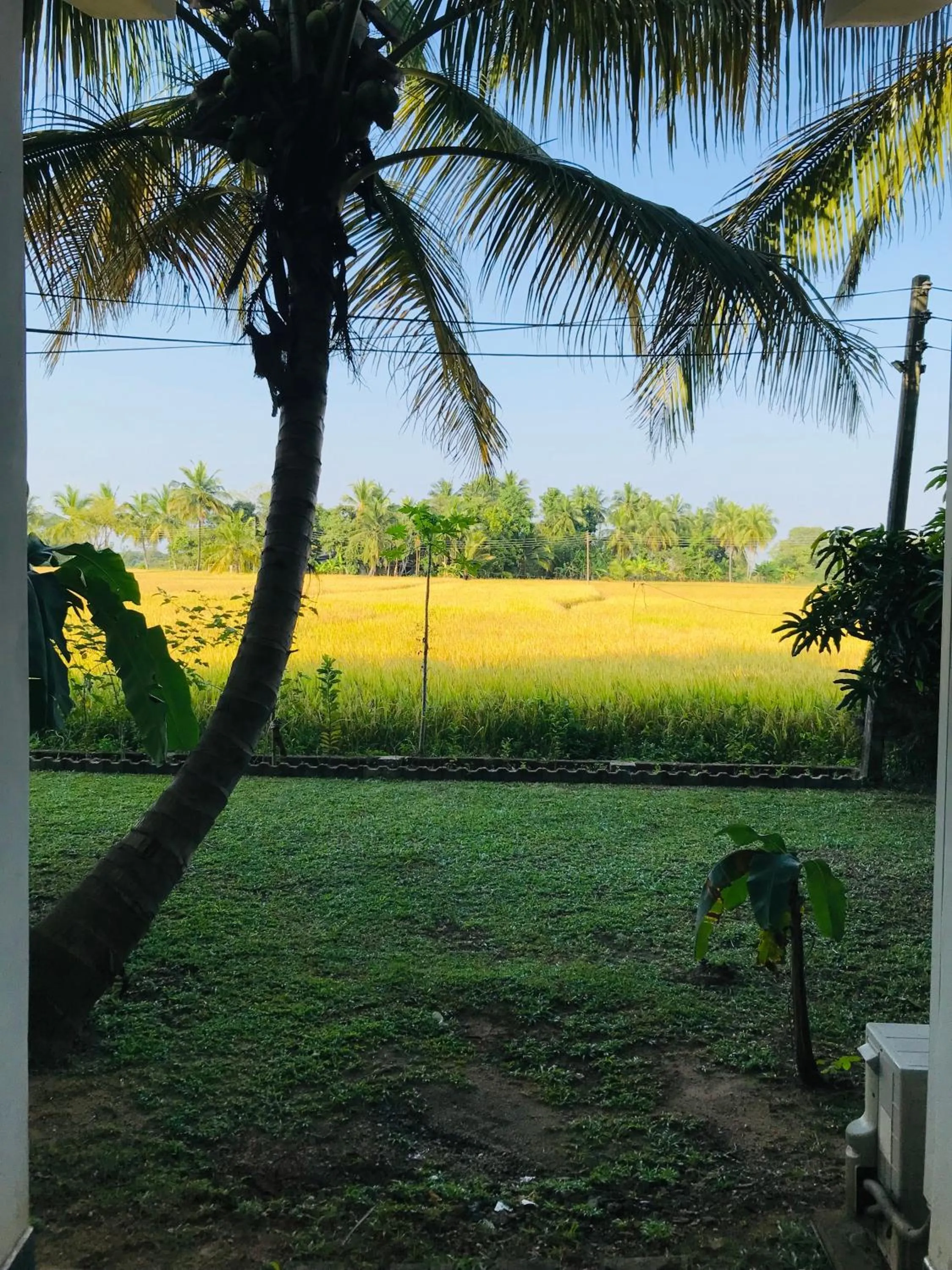View (from property/room) in Rivonway Hotel Polonnaruwa