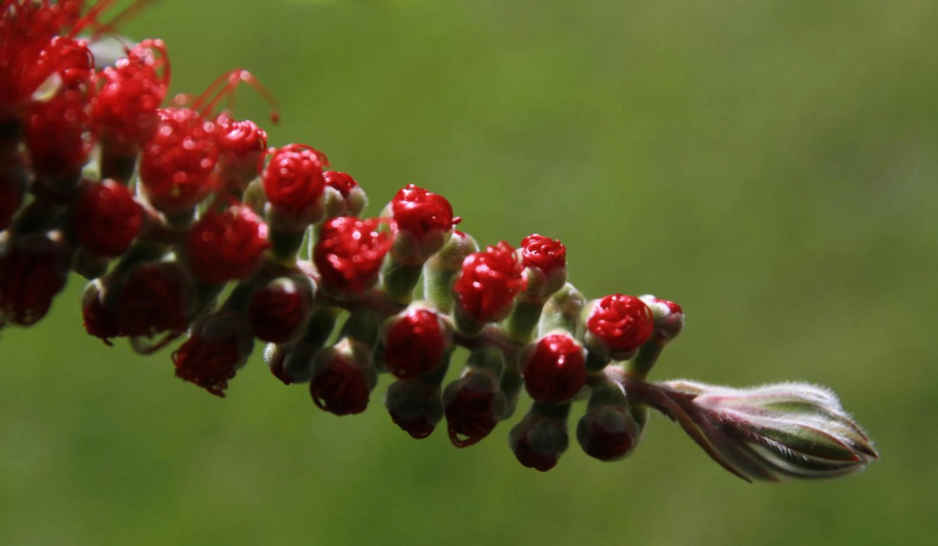 Garden view in Costa Carilo Apart de Mar By HS