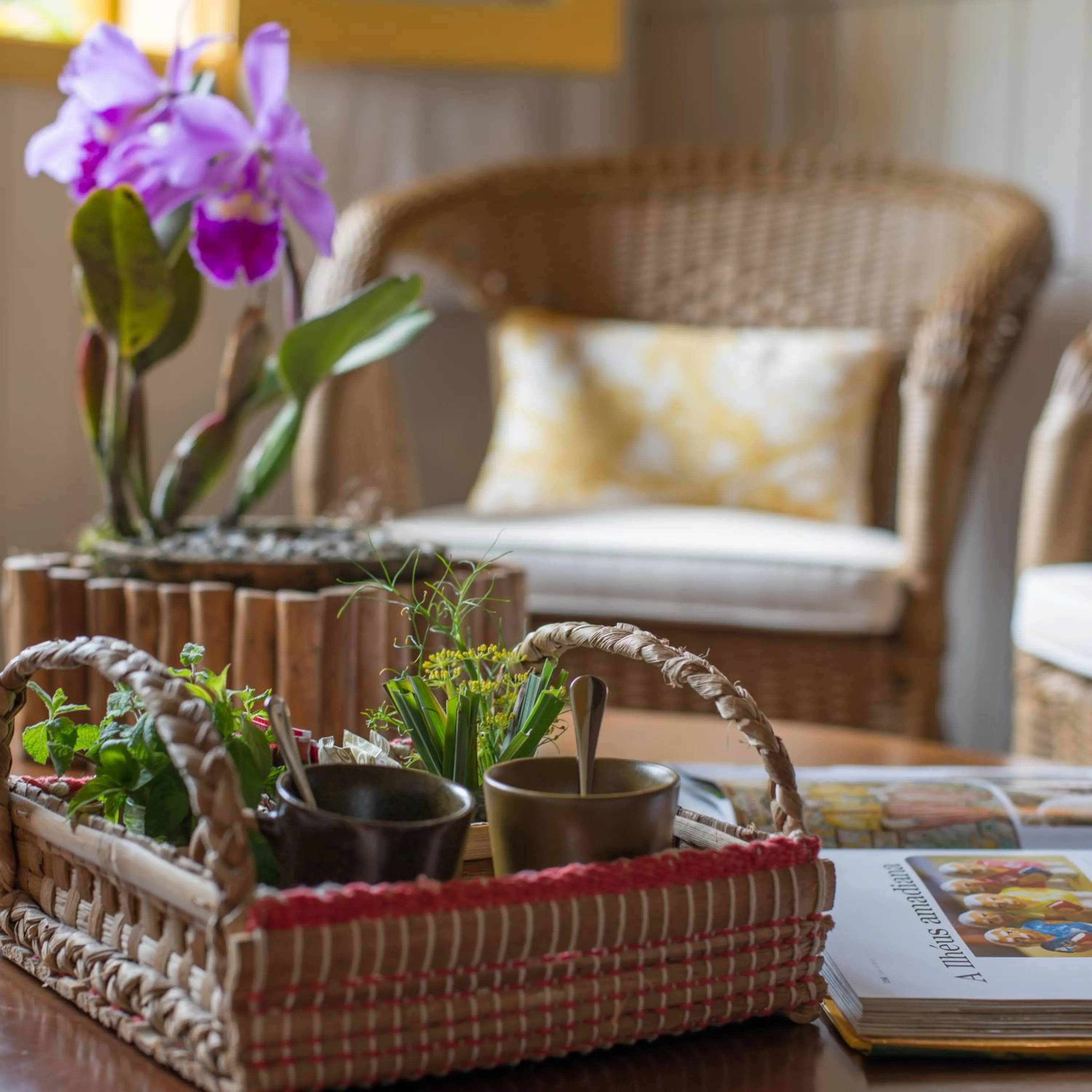 Chalet in Parador Lumiar Boutique Hotel & Spa