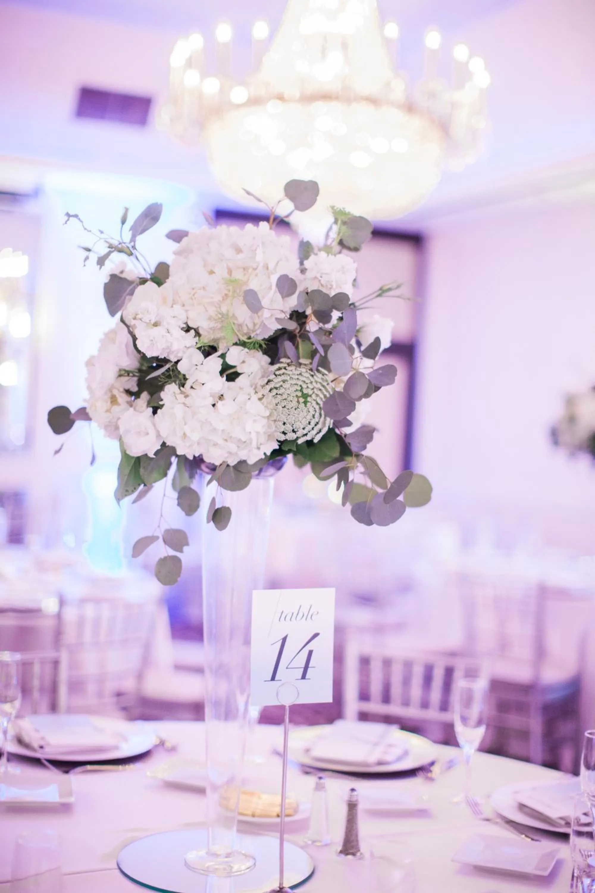 Banquet/Function facilities in The Hills Hotel, an IHG Hotel