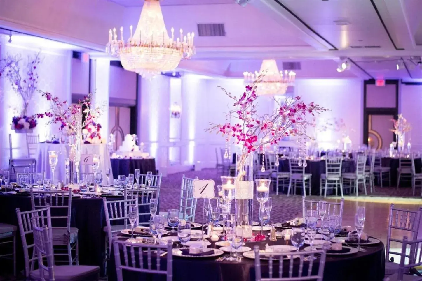 Restaurant/places to eat in The Hills Hotel, an IHG Hotel Restaurant/places to eat in The Hills Hotel, an IHG Hotel