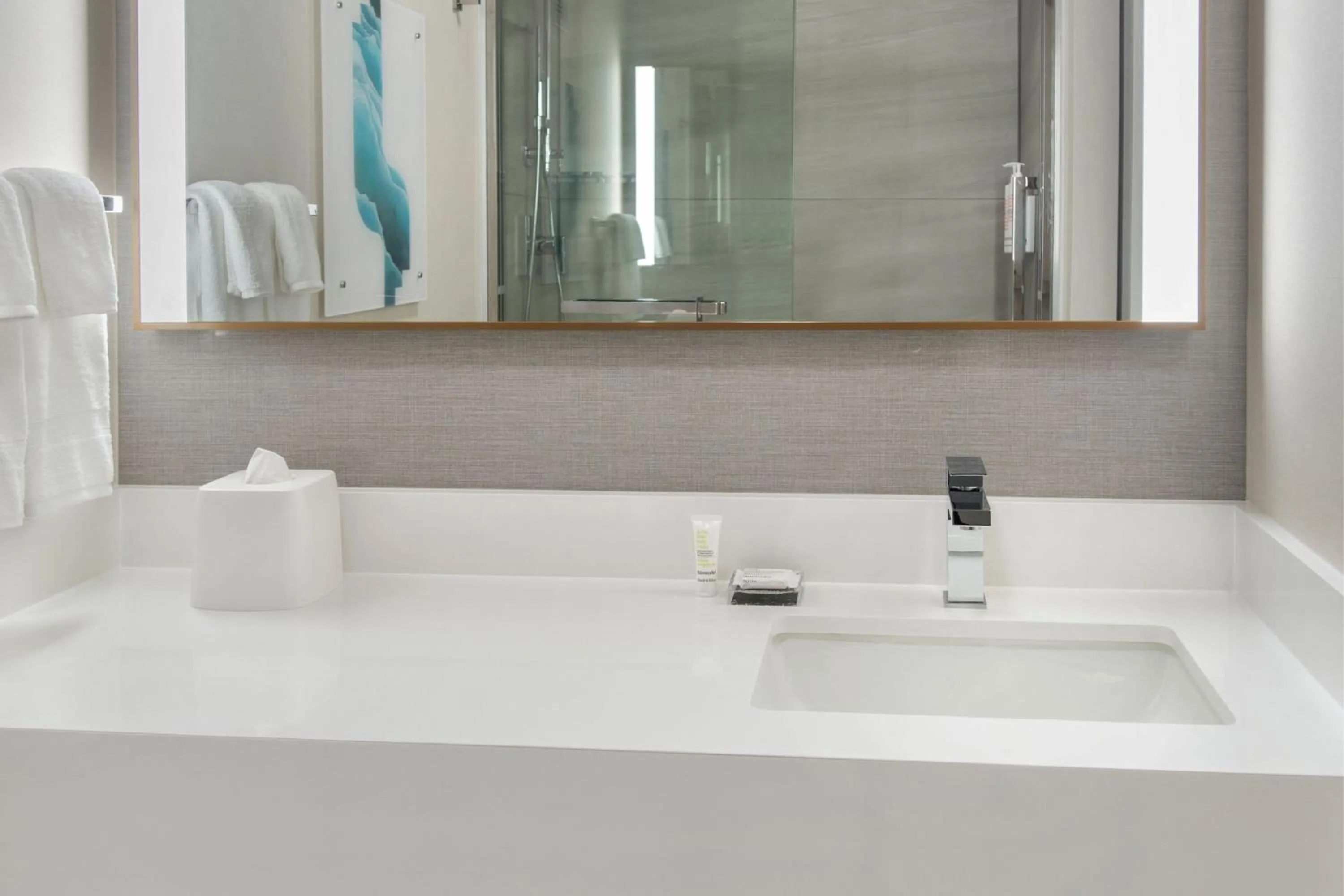 Bathroom in Buffalo Marriott Niagara