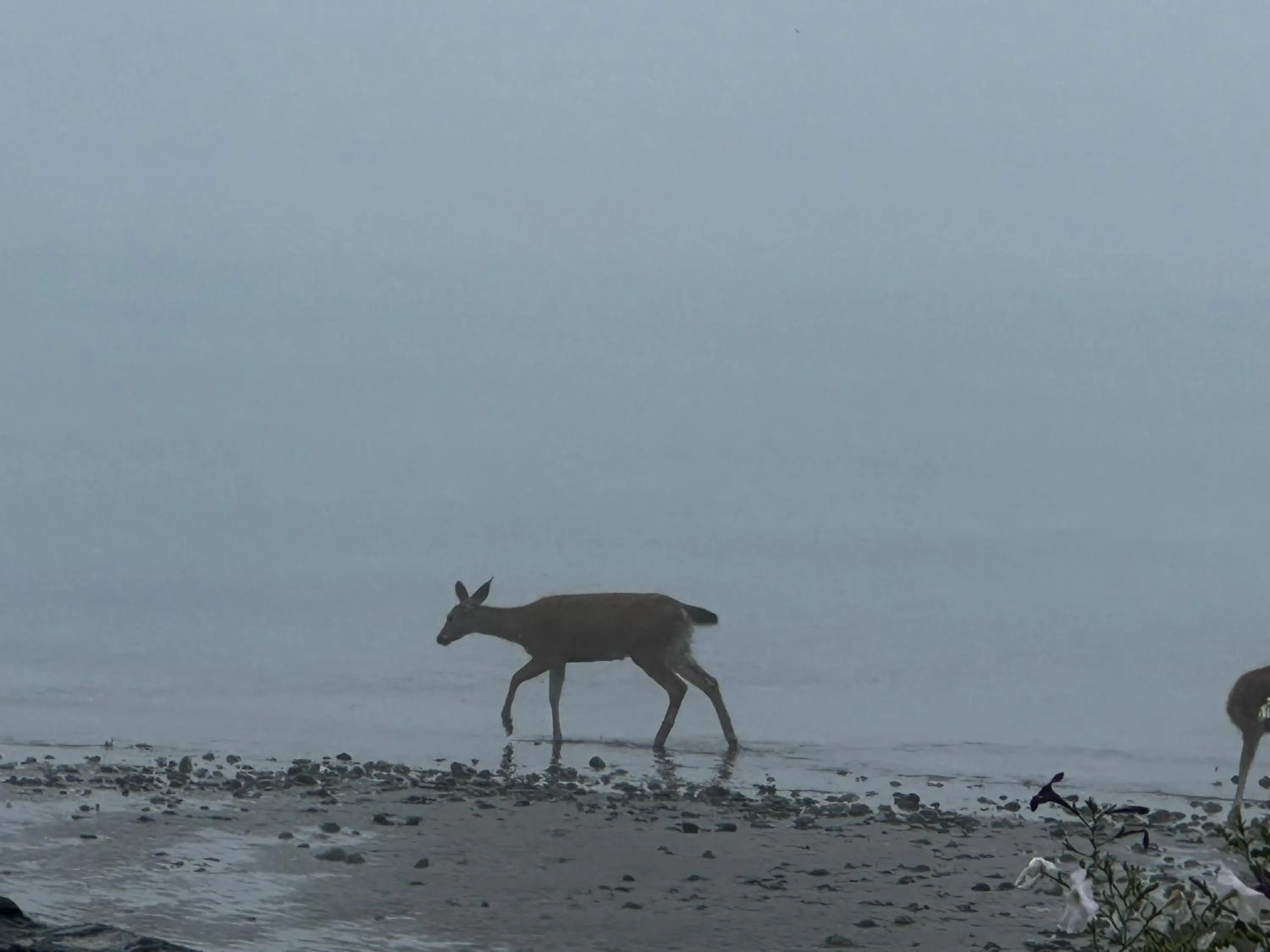 Property building in Sand Pebbles Inn