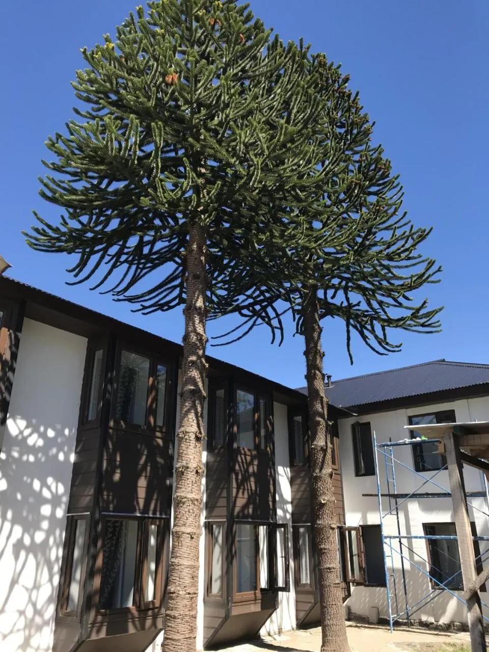 Hotel Aysen Austral