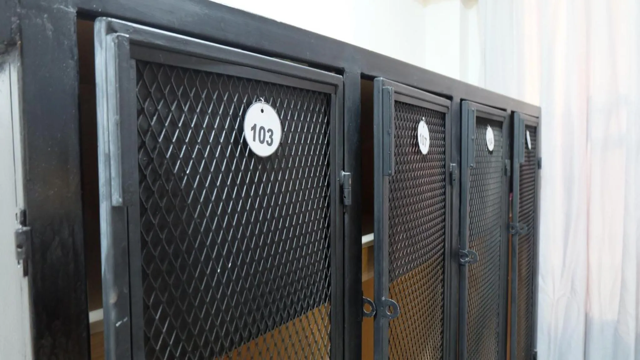 microwave in 18 Coins Budget Hotel