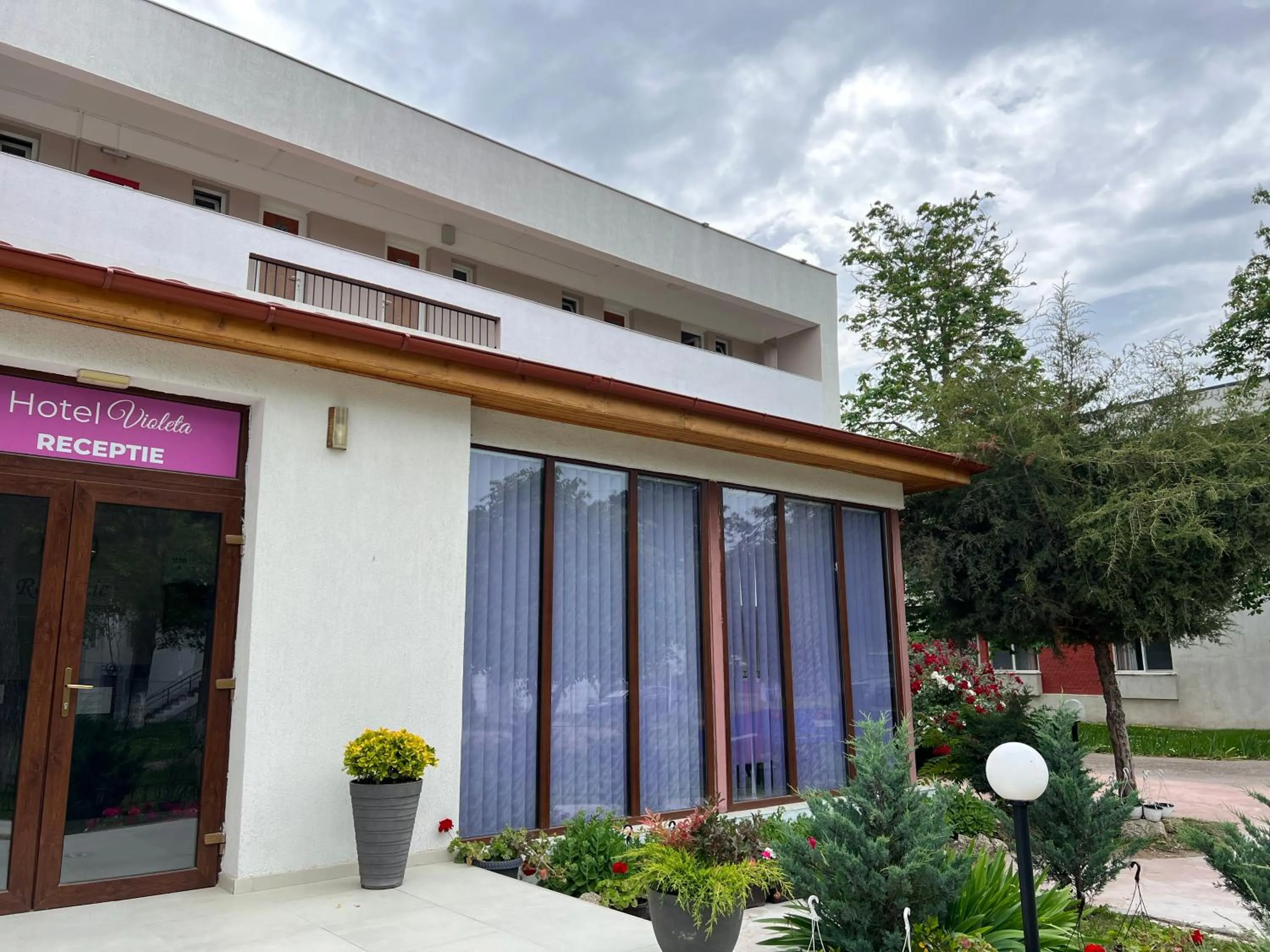 Property building in Hotel Violeta