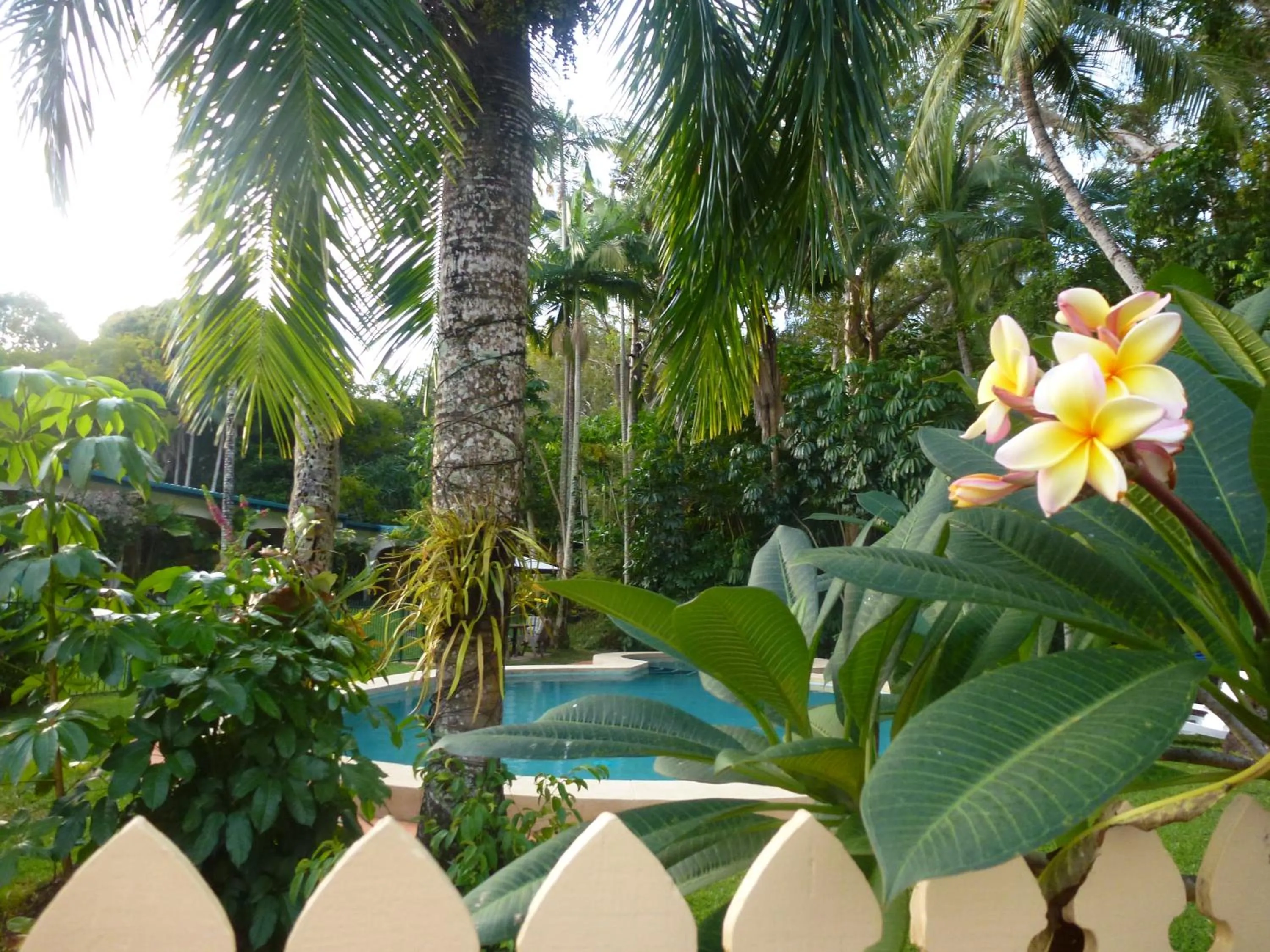 Swimming pool in Villa Marine Holiday Apartments Cairns