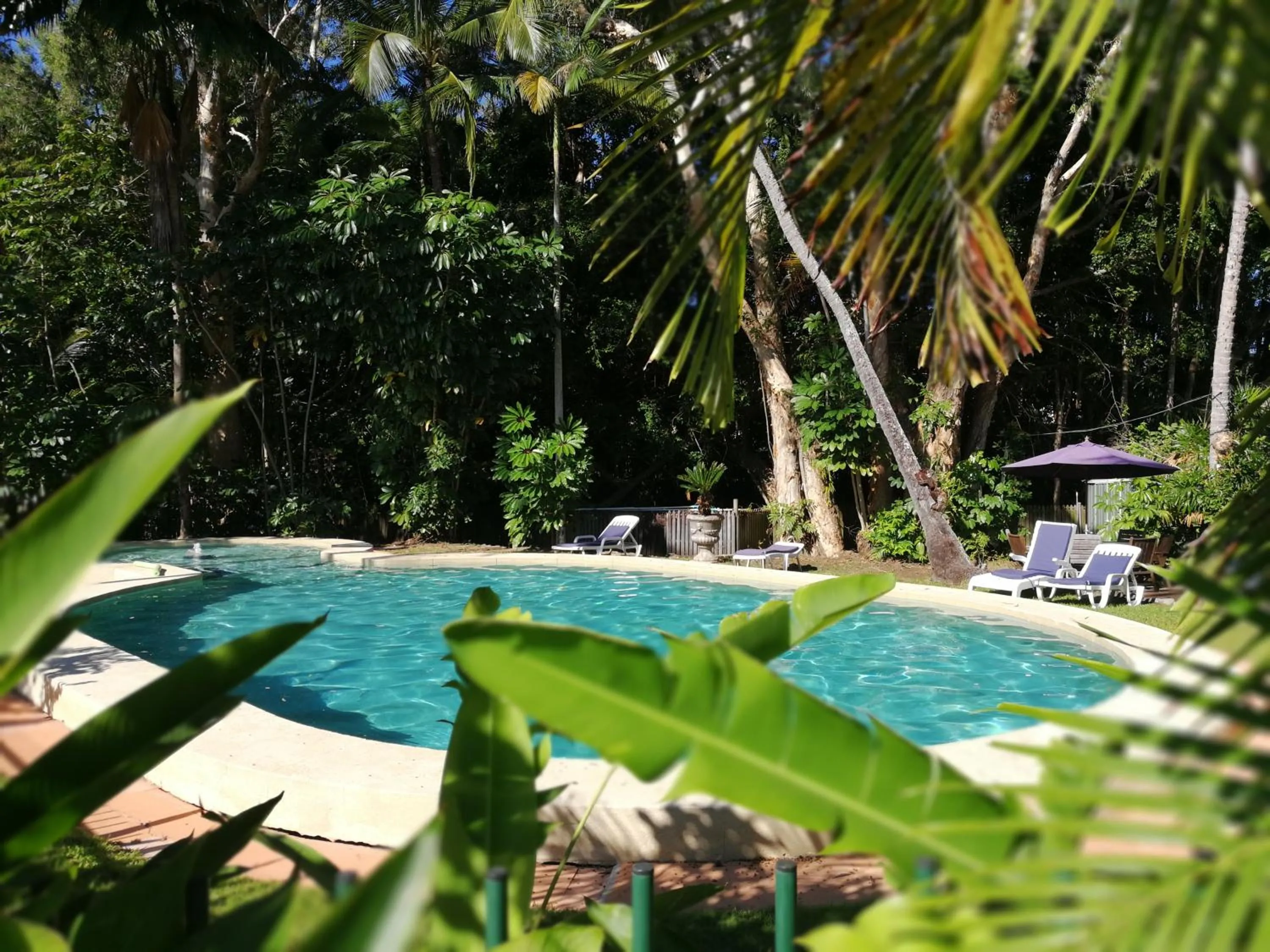 Swimming pool in Villa Marine Holiday Apartments Cairns