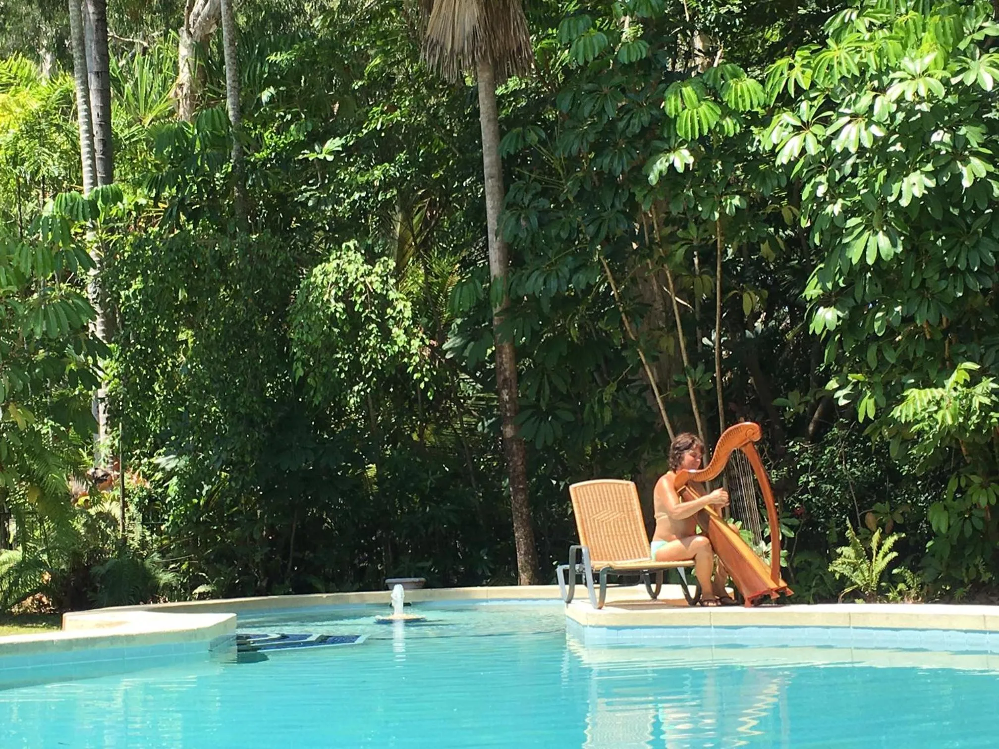 Garden in Villa Marine Holiday Apartments Cairns