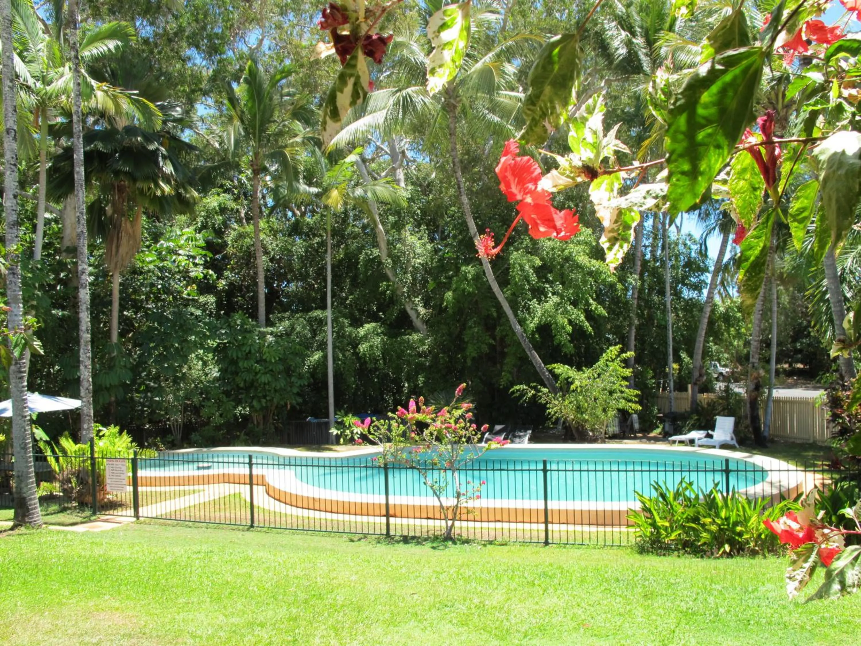 Swimming pool in Villa Marine Holiday Apartments Cairns
