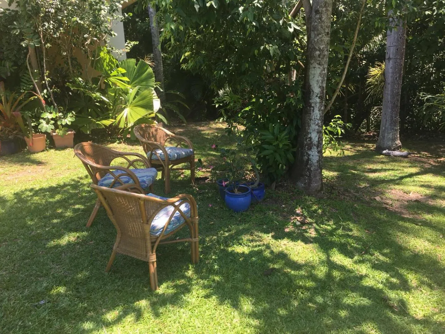 Garden in Villa Marine Holiday Apartments Cairns