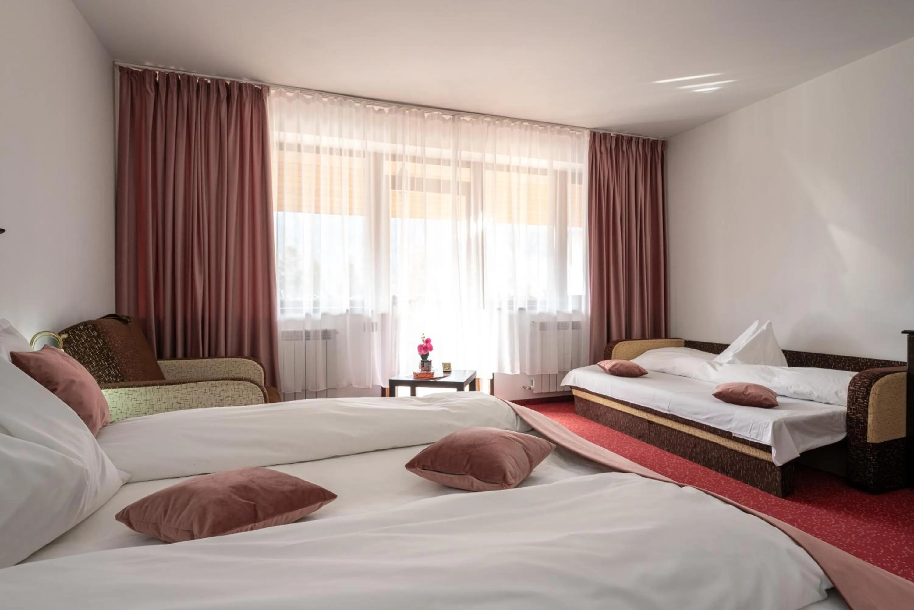 Photo of the whole room in Hotel Cumpatu