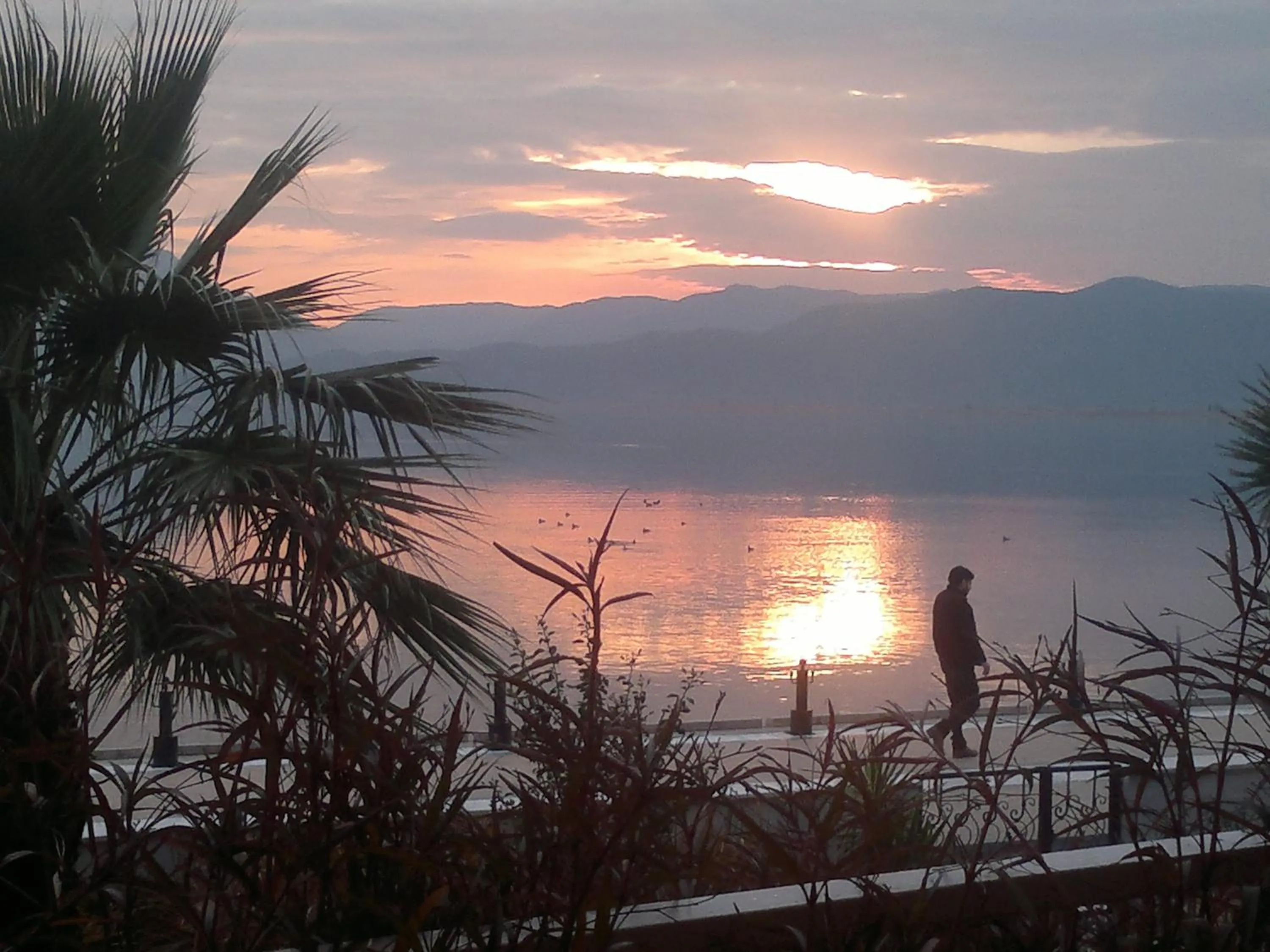 Natural landscape in Kaunos Hotel