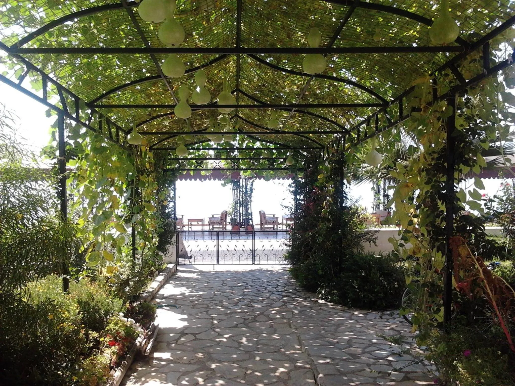 Spring in Kaunos Hotel