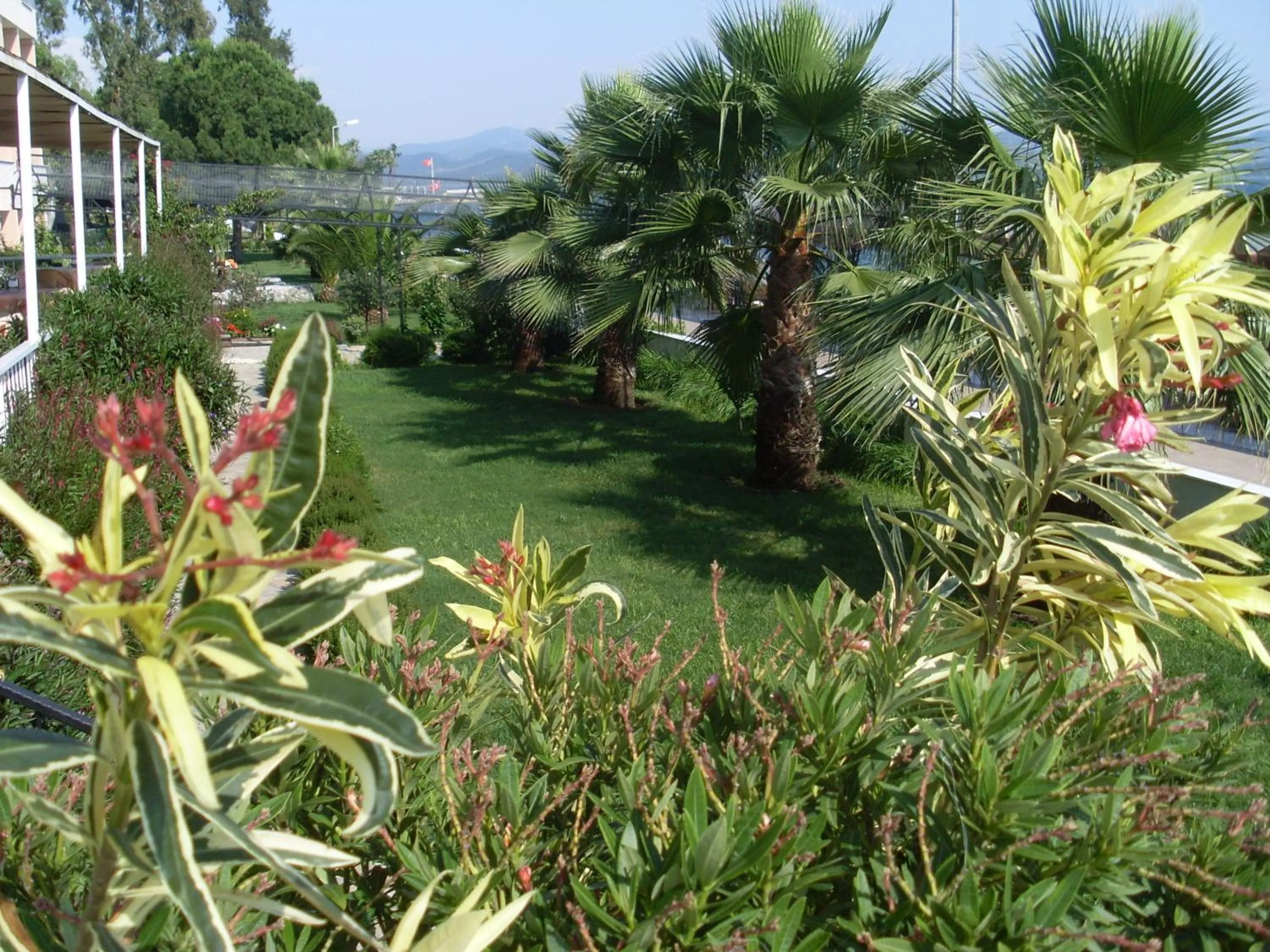 Garden view in Kaunos Hotel
