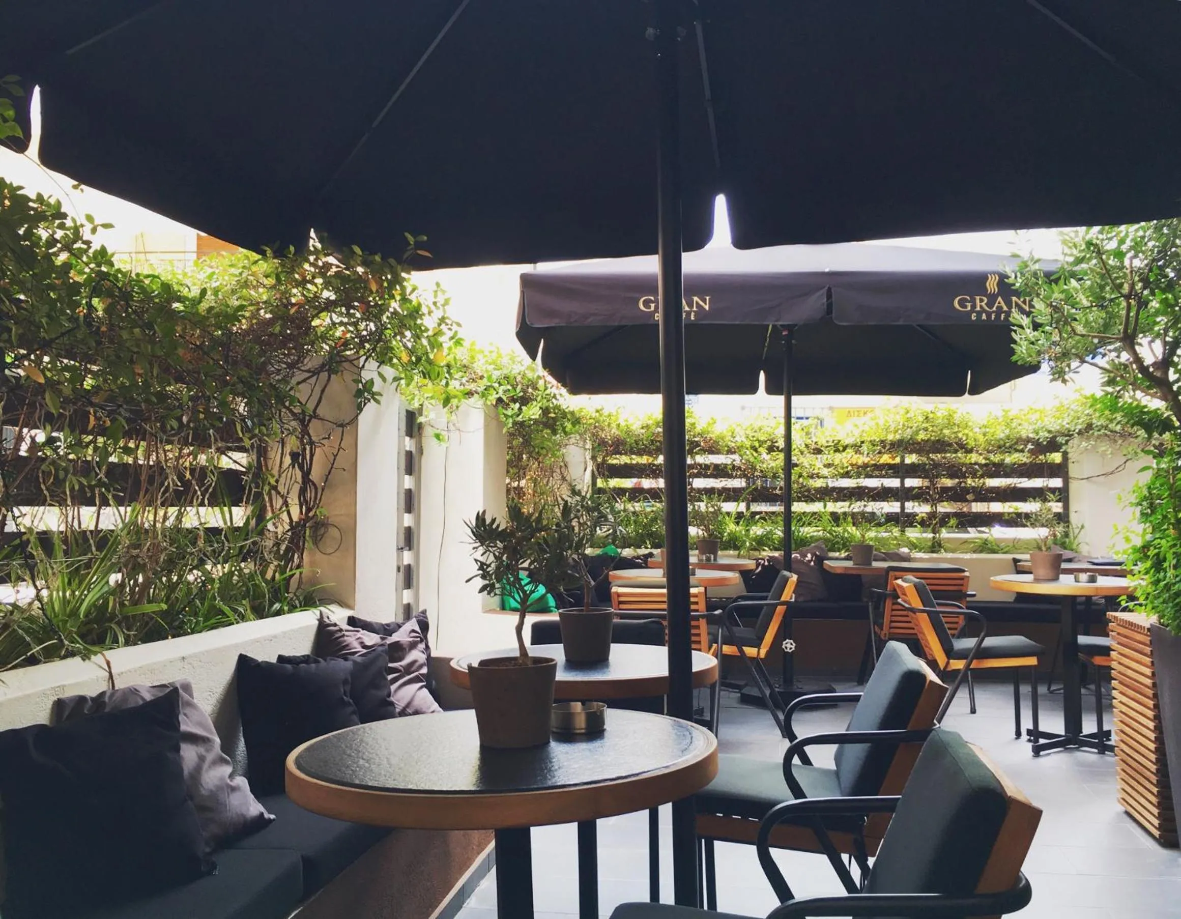 Garden in Mc Queen Rooms & Apartments