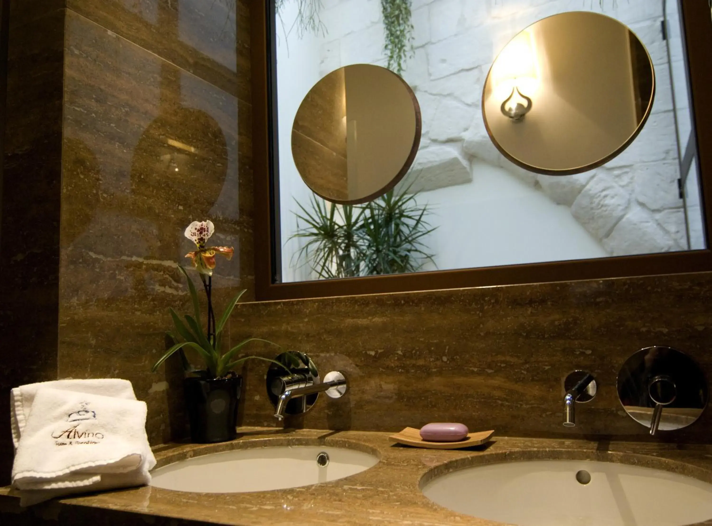 Suite with Ceiling Window in Alvino Suite And Breakfast Suite with Ceiling Window in Alvino Suite And Breakfast