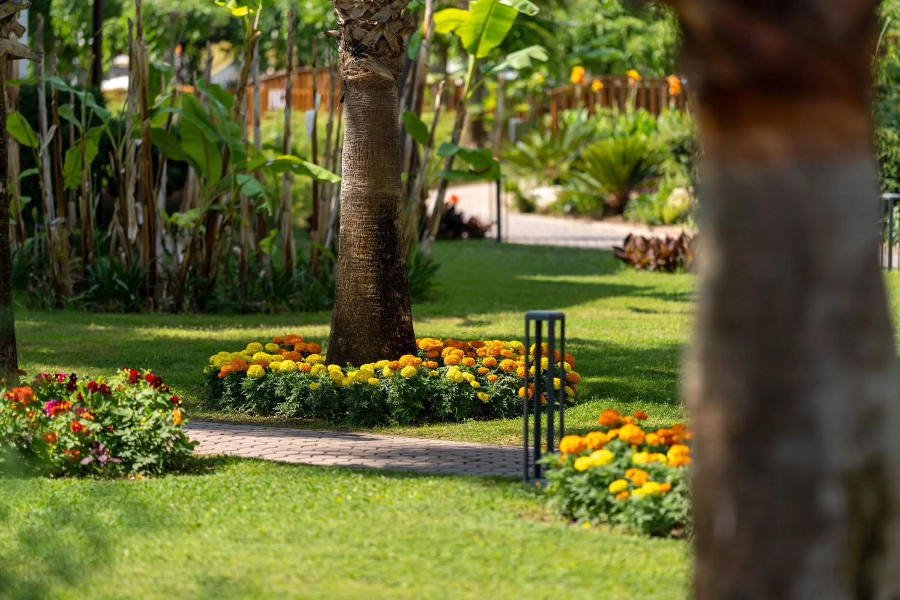 Garden in Club Tuana Fethiye - All Inclusive