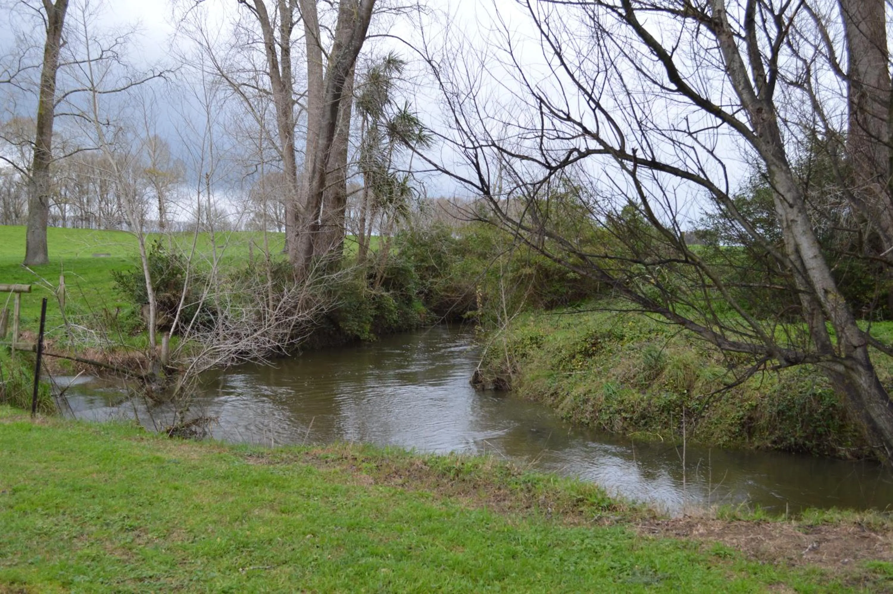 Property building in Poplar Creek