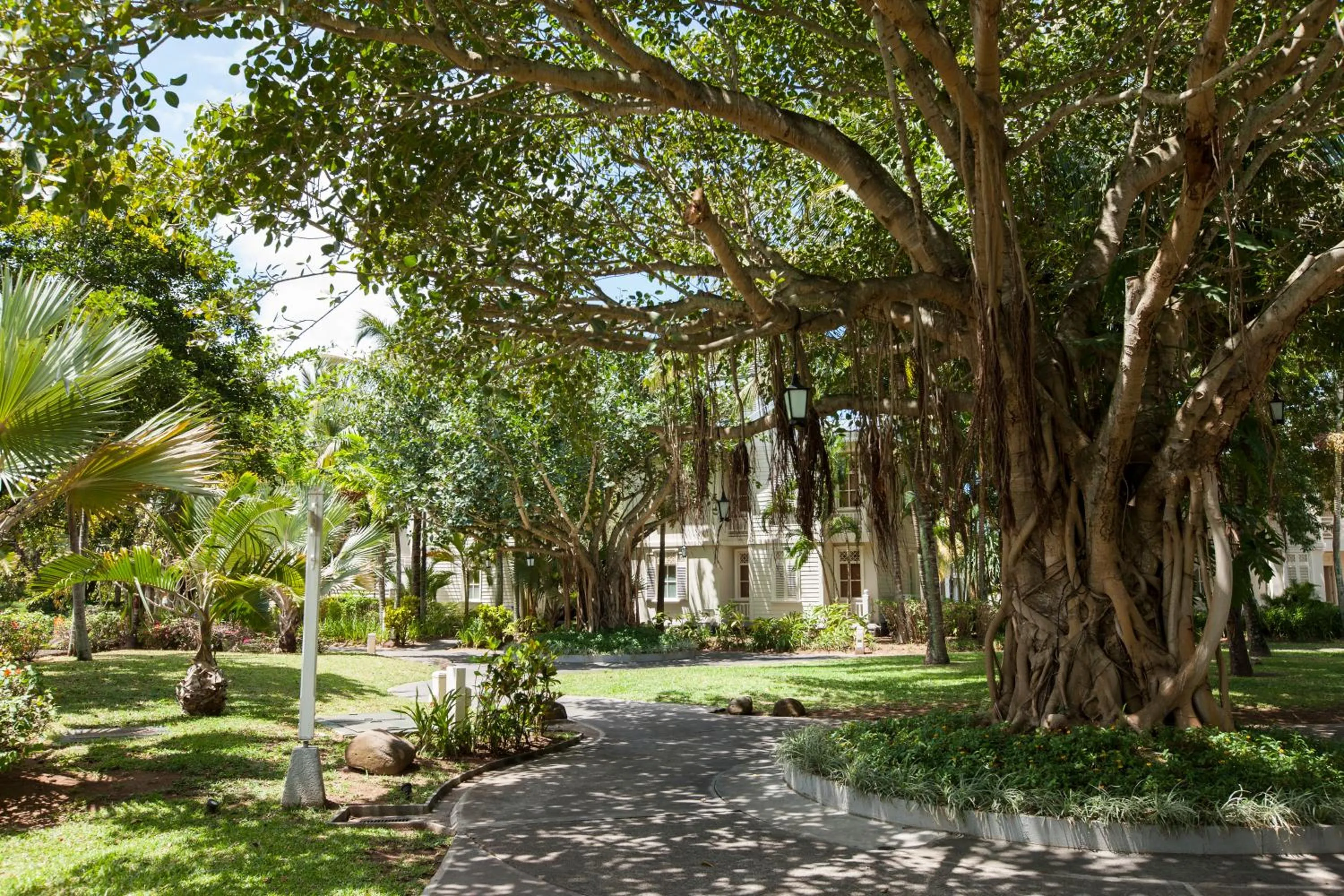 Garden in Heritage Le Telfair Golf & Wellness Resort