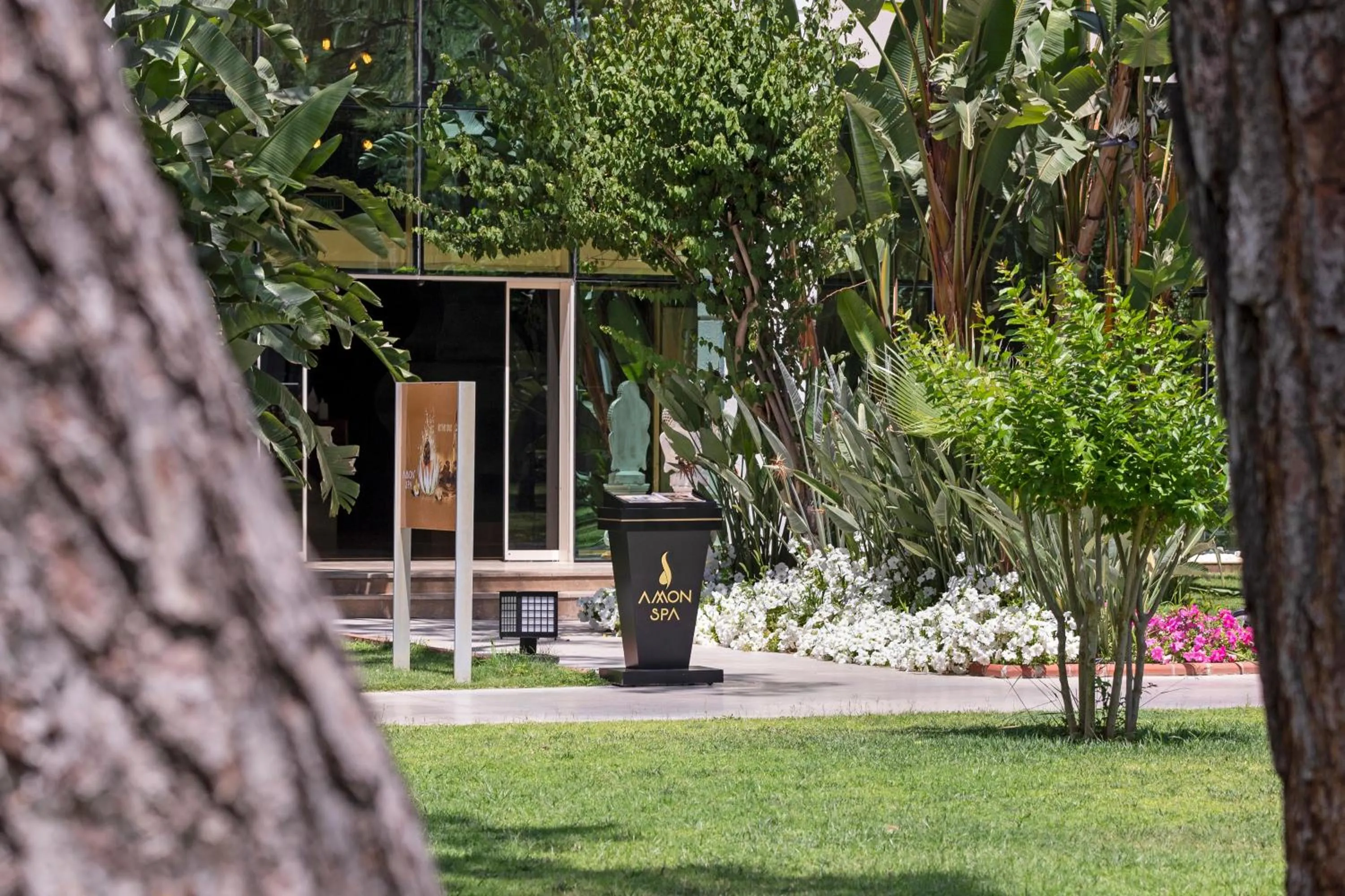 Garden in Sherwood Exclusive Kemer - Kids Concept