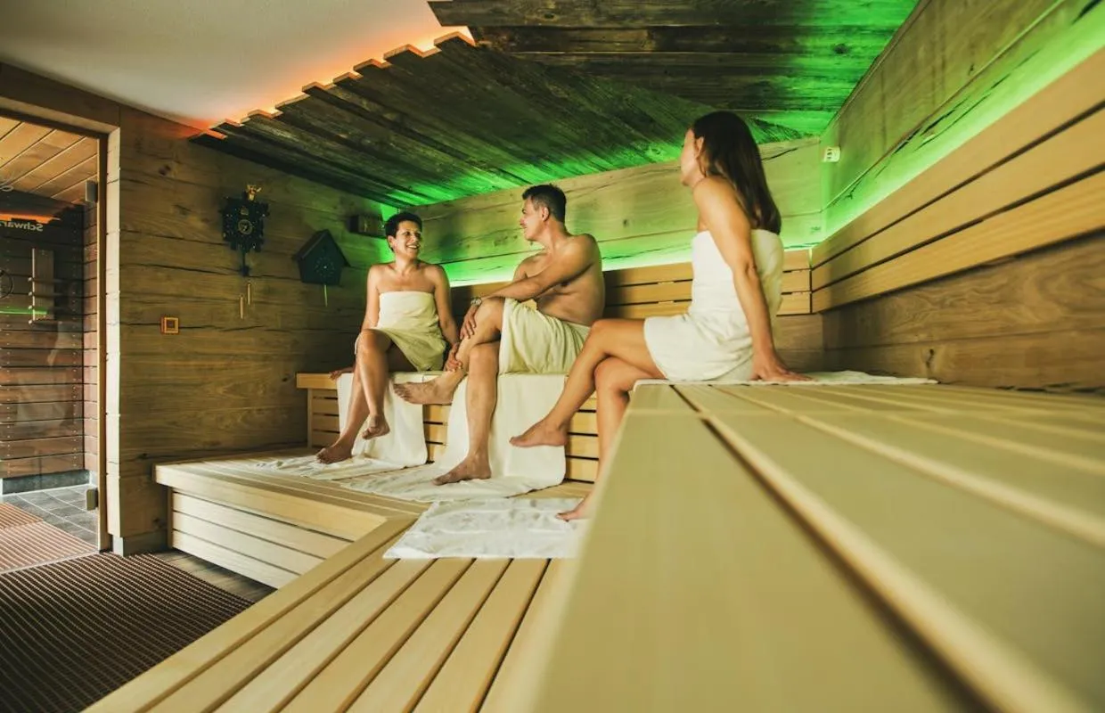 Sauna in Mokni's Palais Hotel & SPA