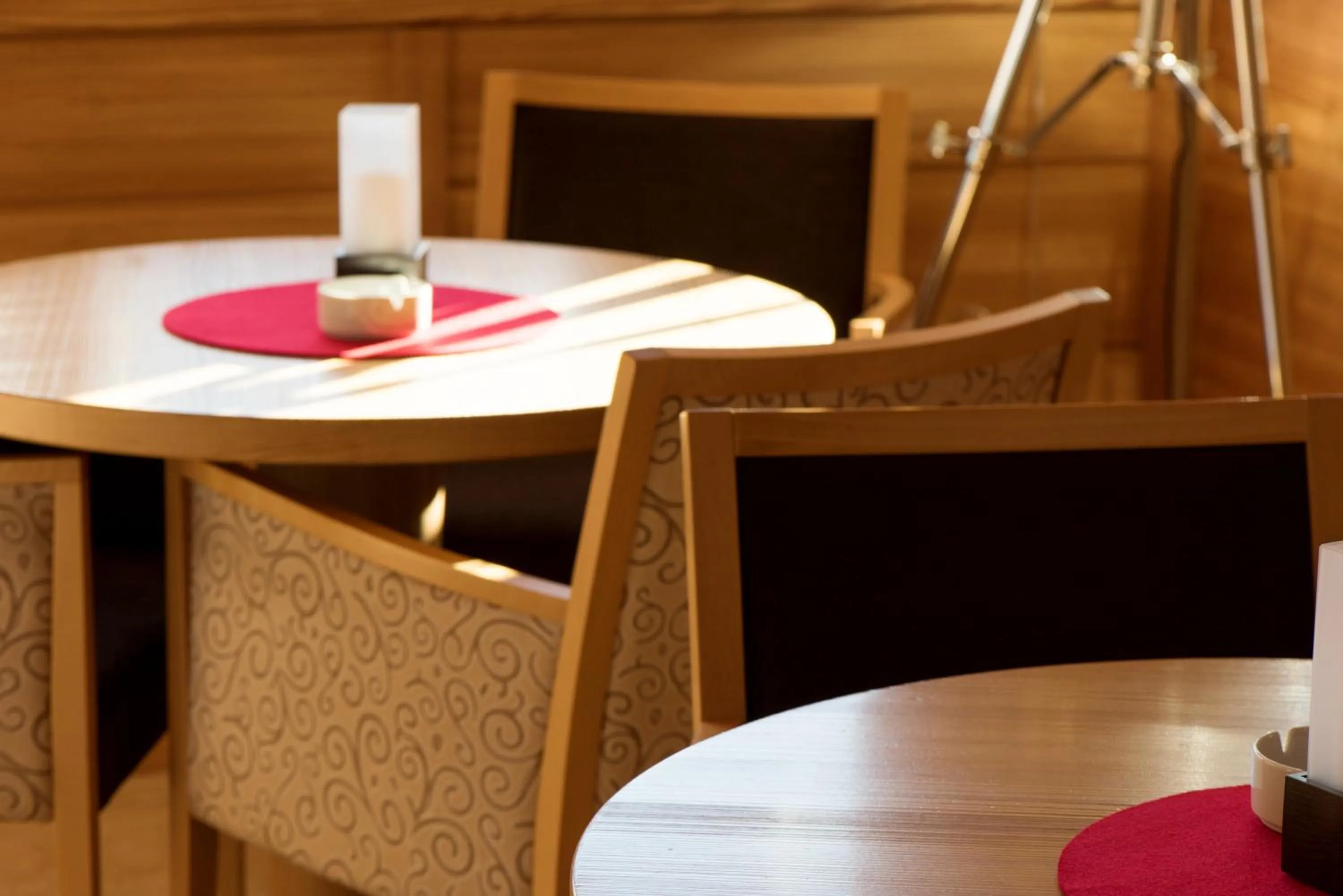 Lounge or bar in Hotel Pinei