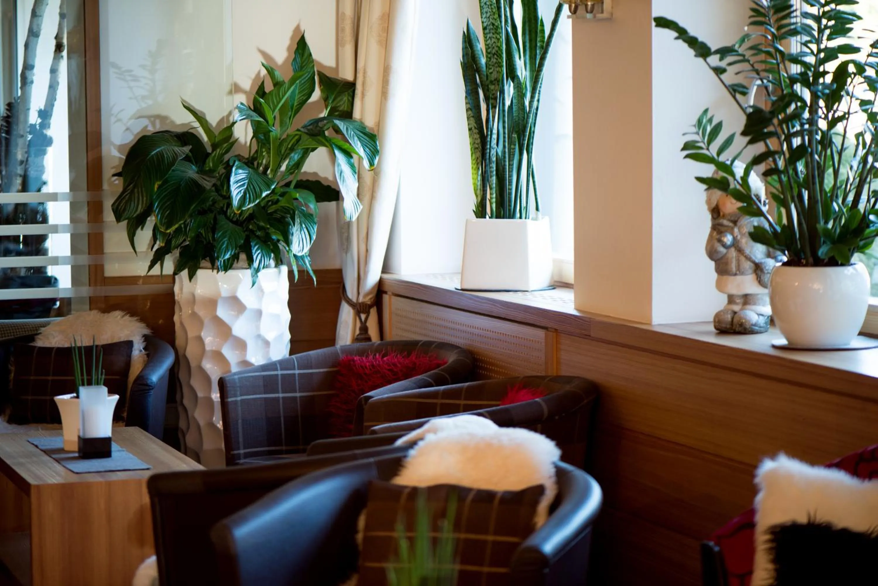 Lounge or bar in Hotel Pinei